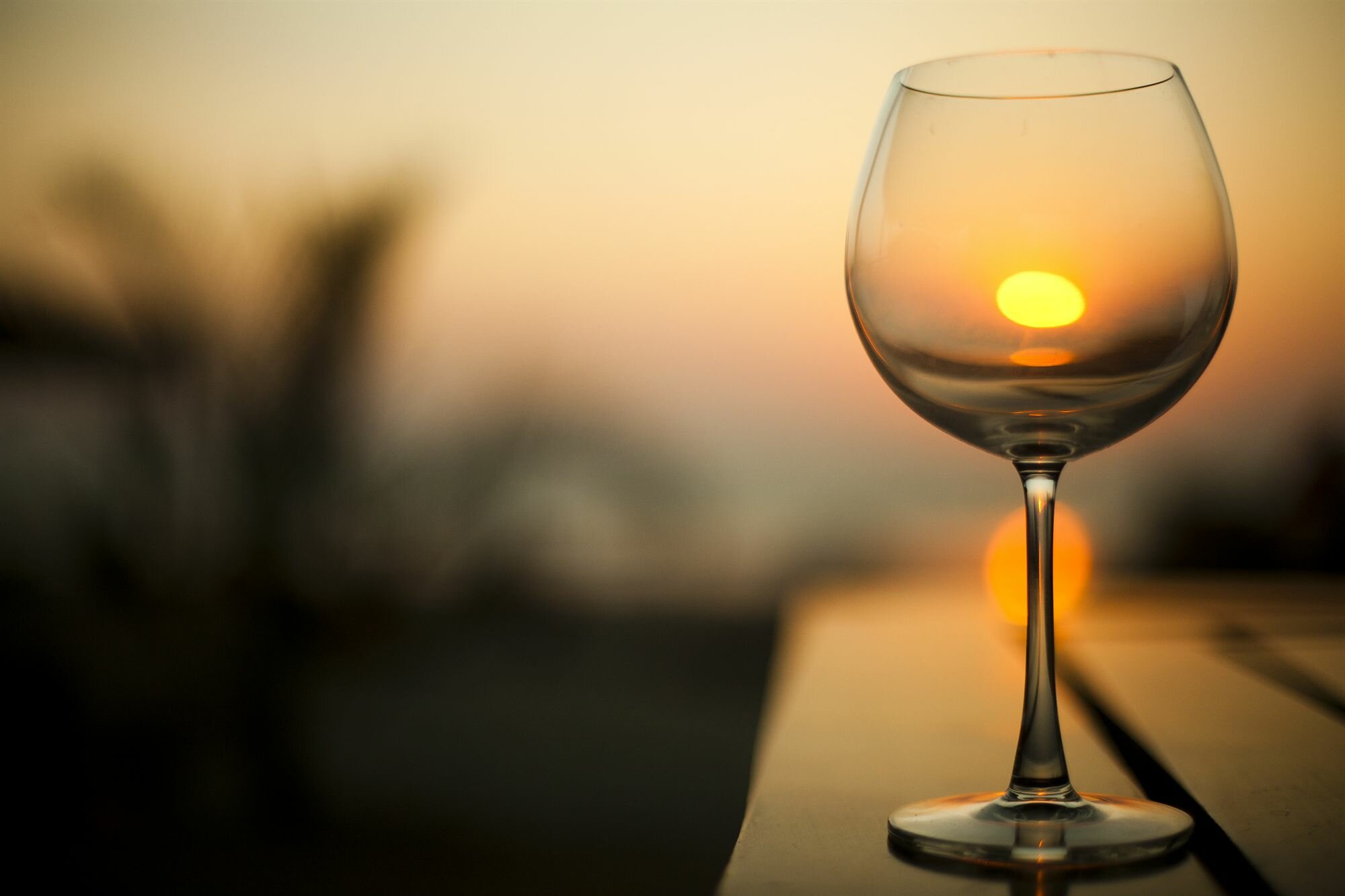 Фото Eco Woods Village