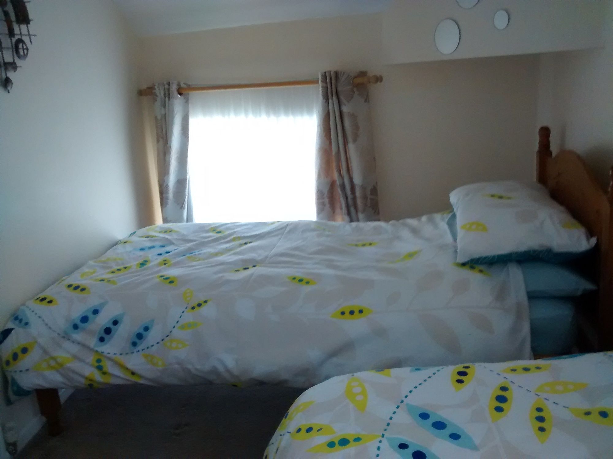 Фото The Pebbles