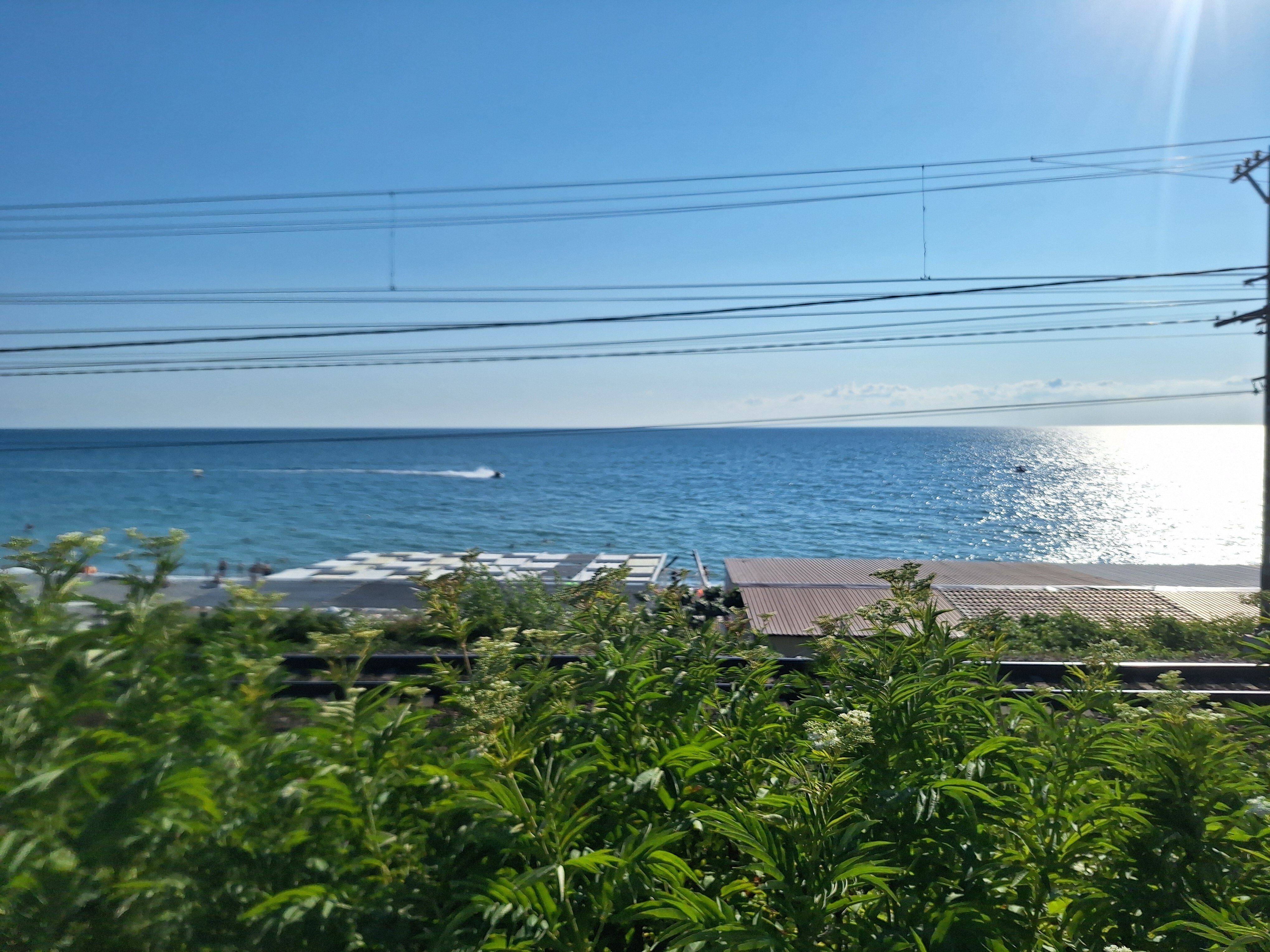 Фото Регалия