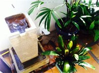 Фото Corner Cafe Bed and Breakfast