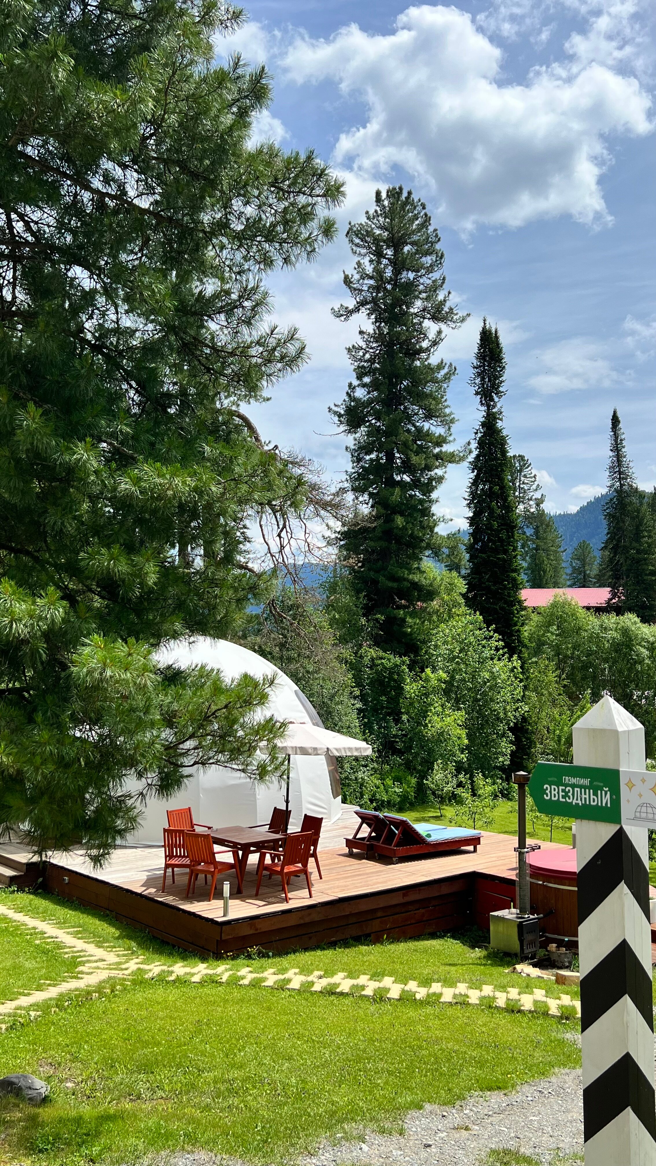 Фото Forest Glamp