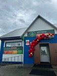 Надежда (selo Mamontovo, Partizanskaya ulitsa, 249Б), pharmacy