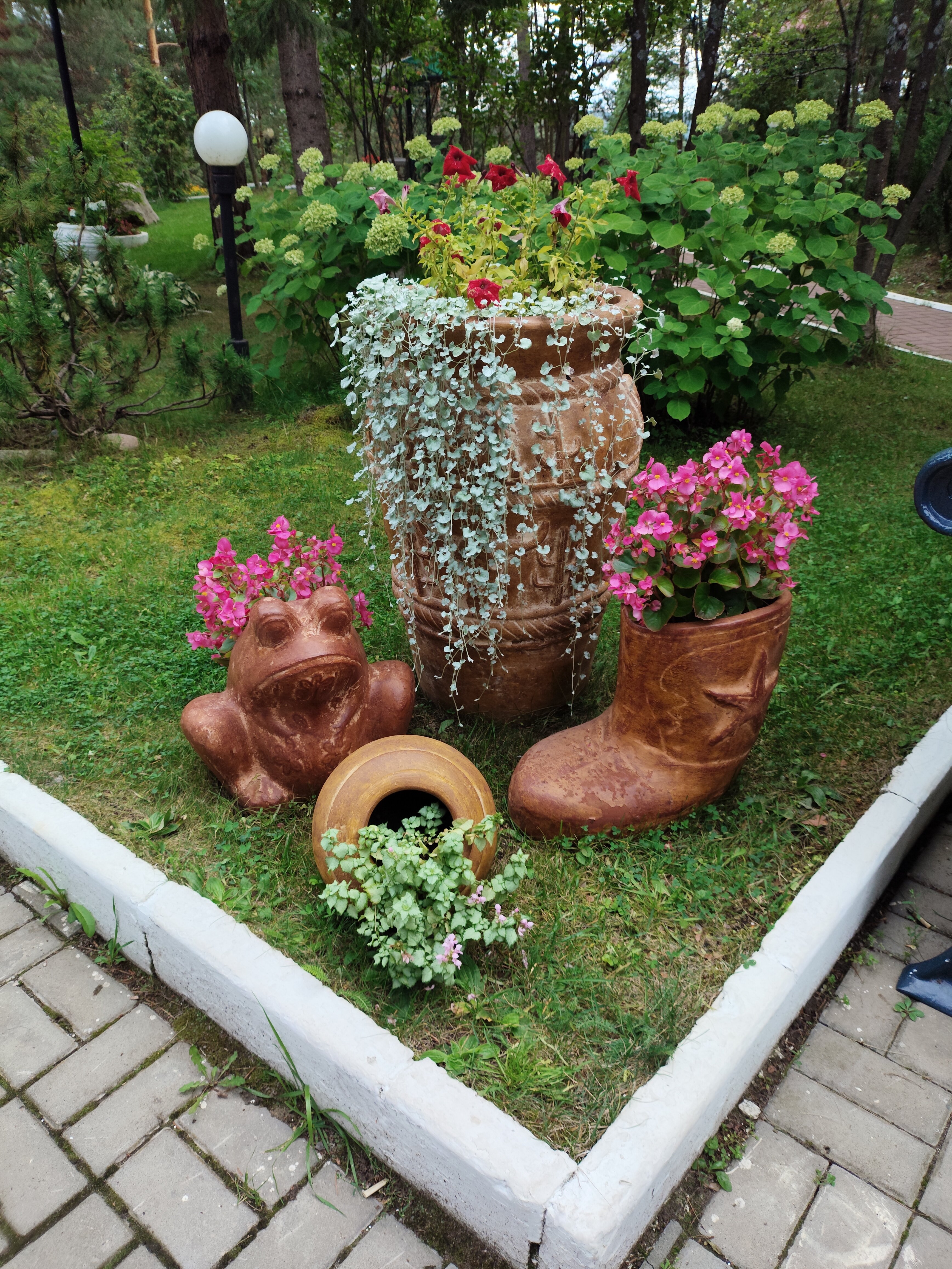 Фото Росинка