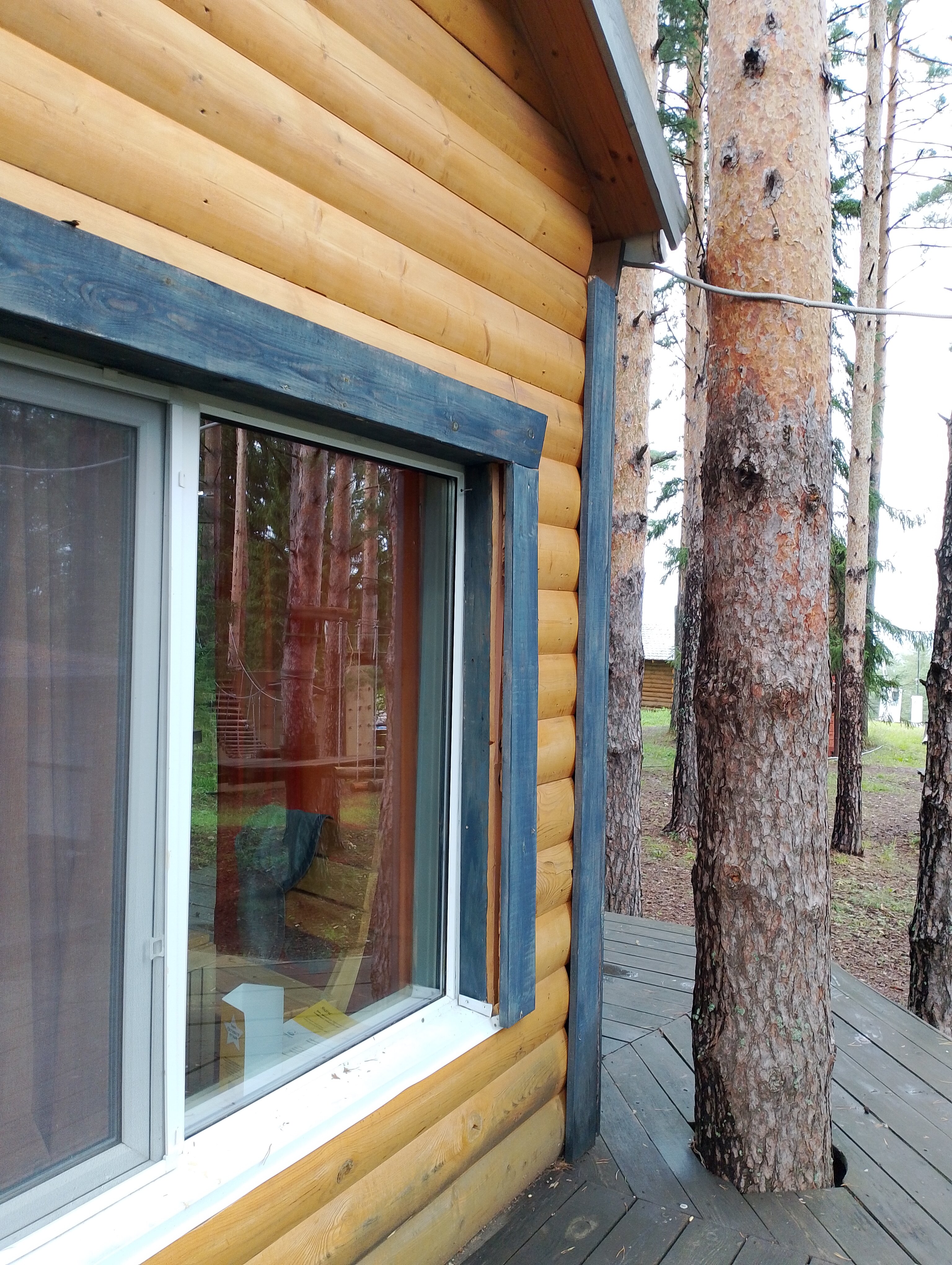 Фото Новая Волна