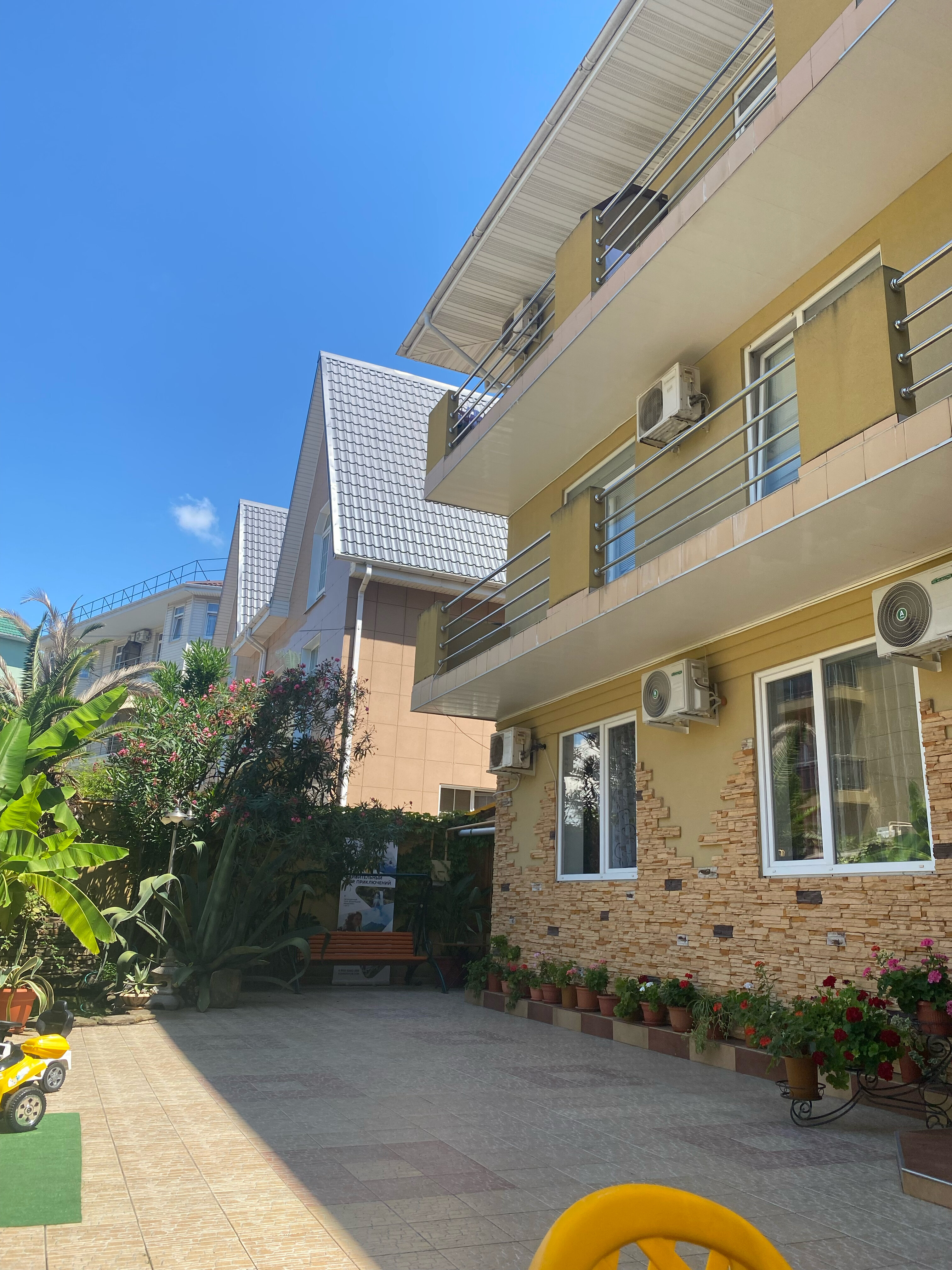 Фото Адениум 585