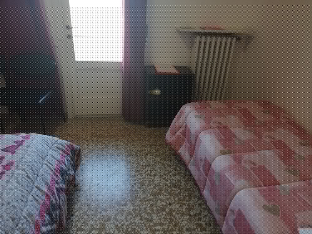 Фото Venice Park House