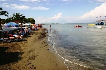 Фото Lemon Grove