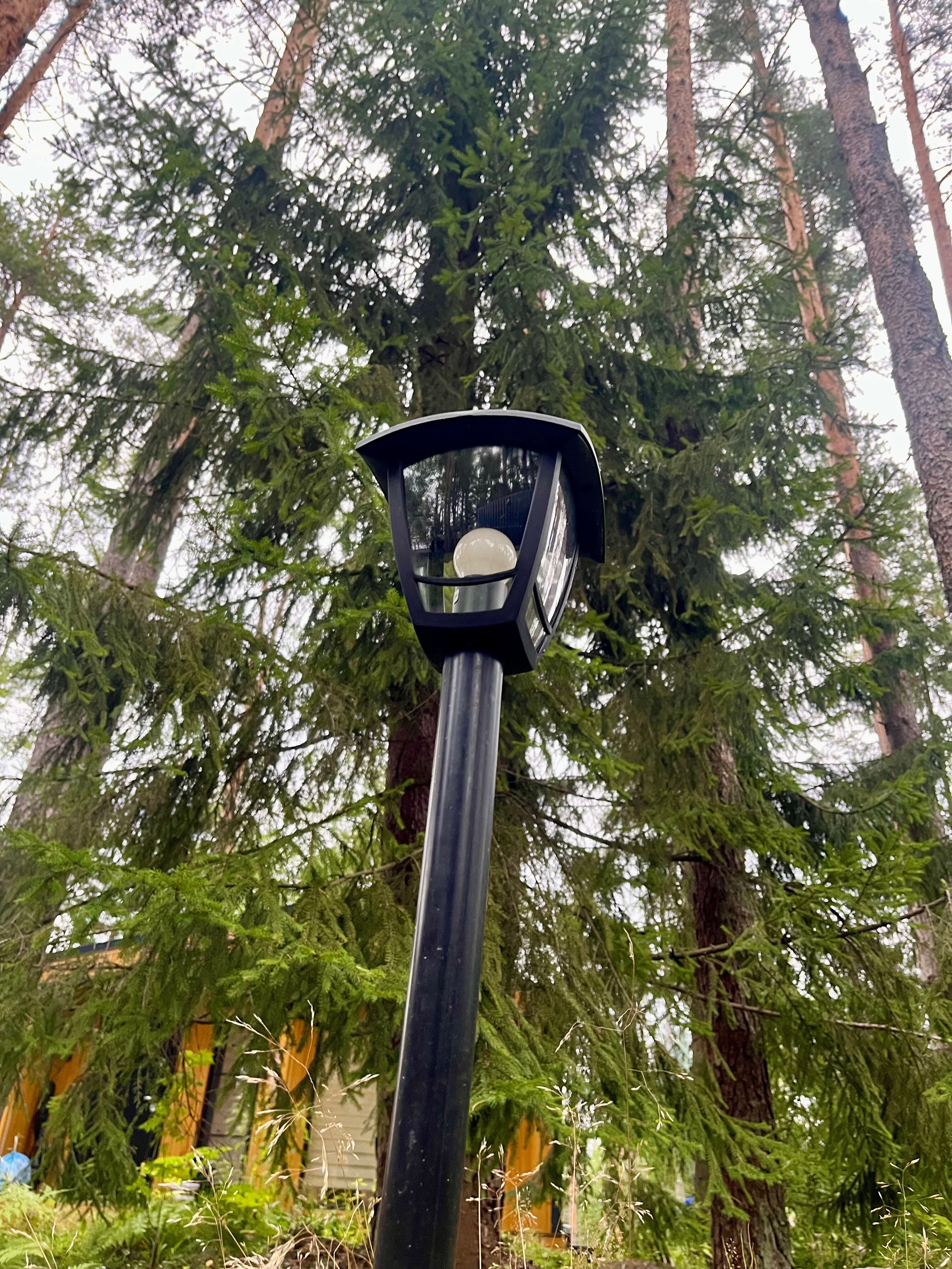 Фото Территория отдыха Лисички