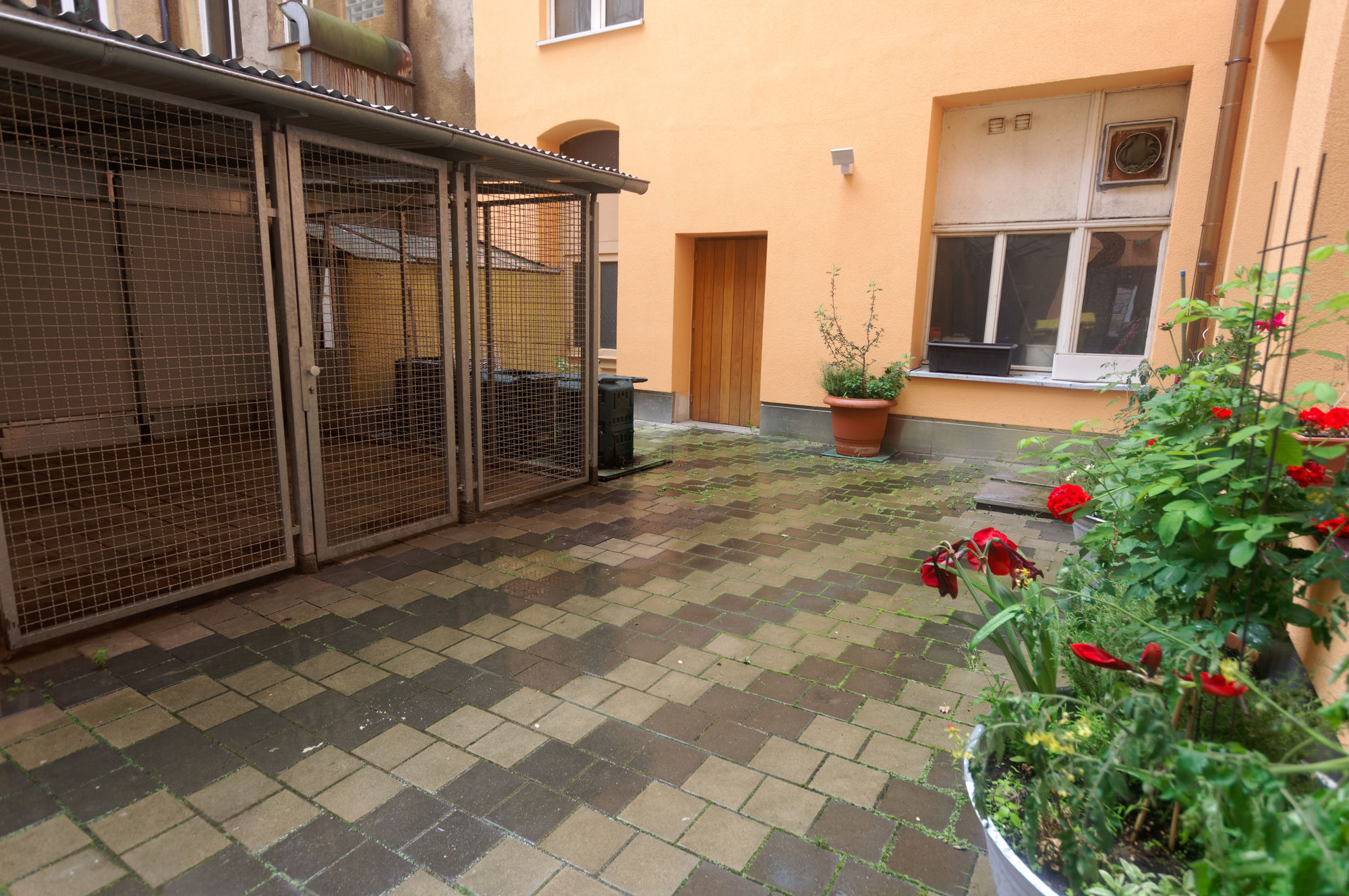 Фото Privathotel Probst