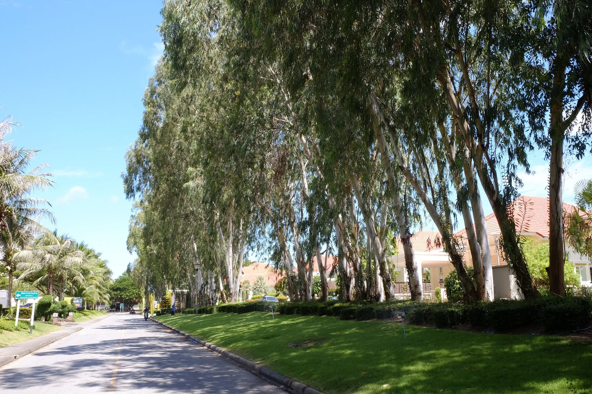 Фото Seastar Hotel