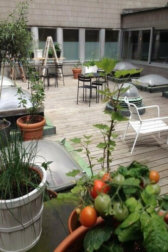 Внешний вид отеля Moment Hotels в Мальмё, фото 5