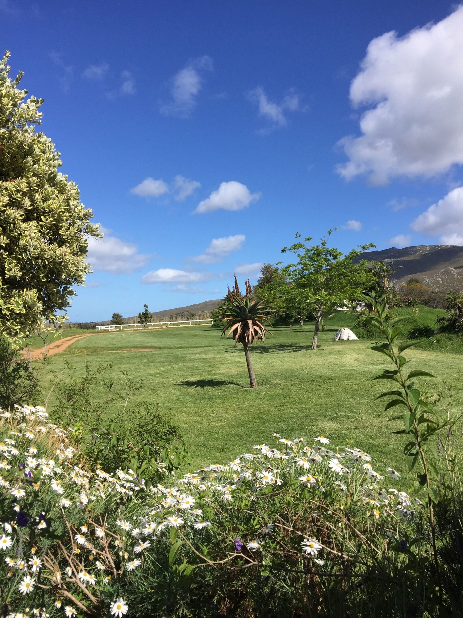 Фото White Water Farm