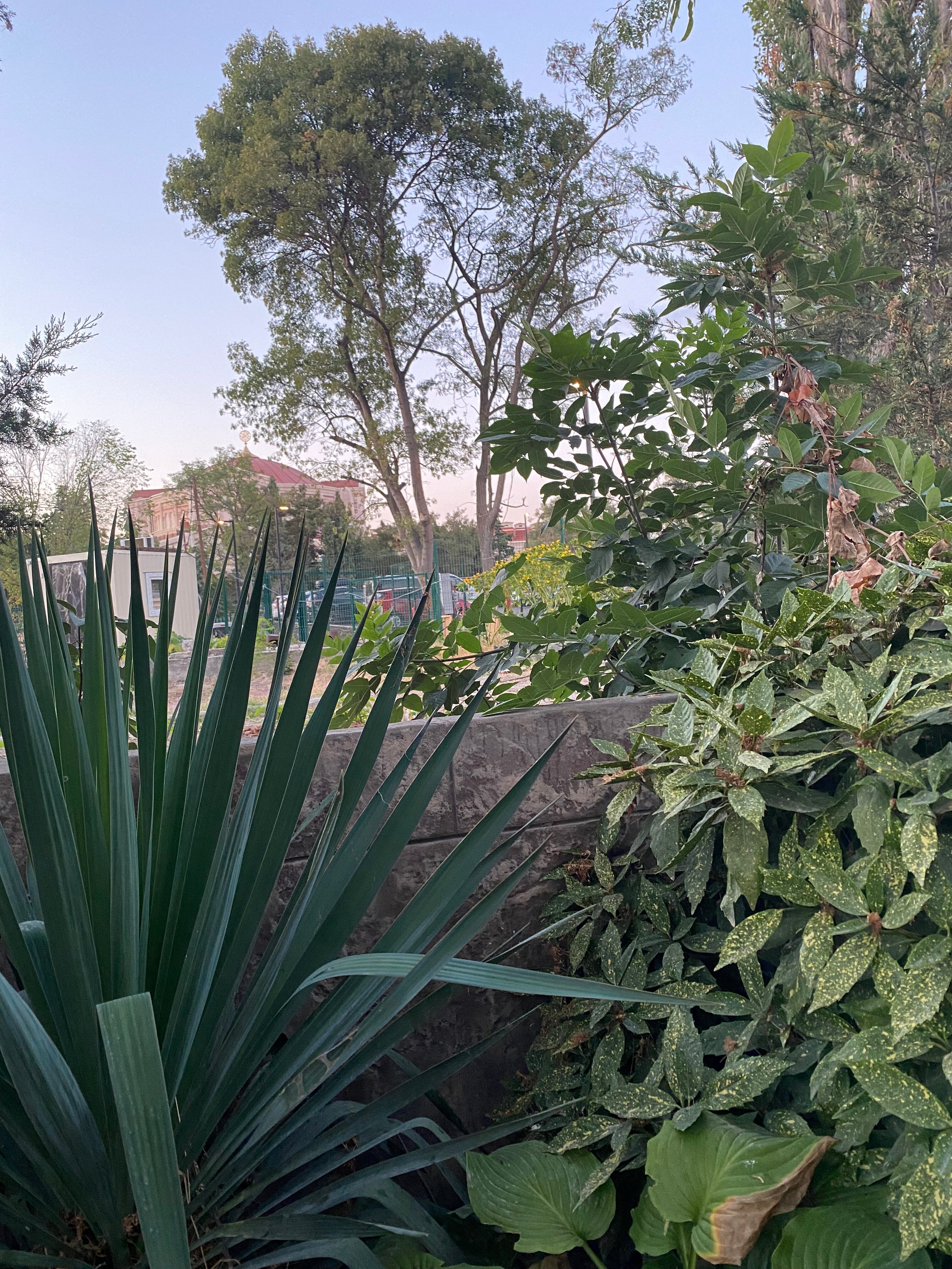 Фото Стрелка. румс