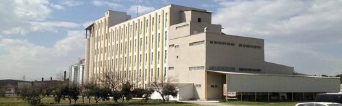 Flour and grains Ibrahim Yalcin Flour Food Industry, Honaz, photo