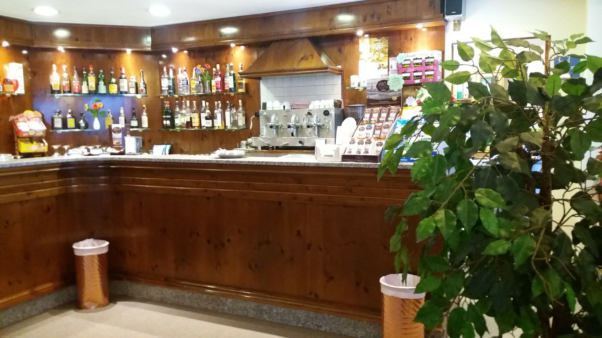 Фото Club Hotel Solaris