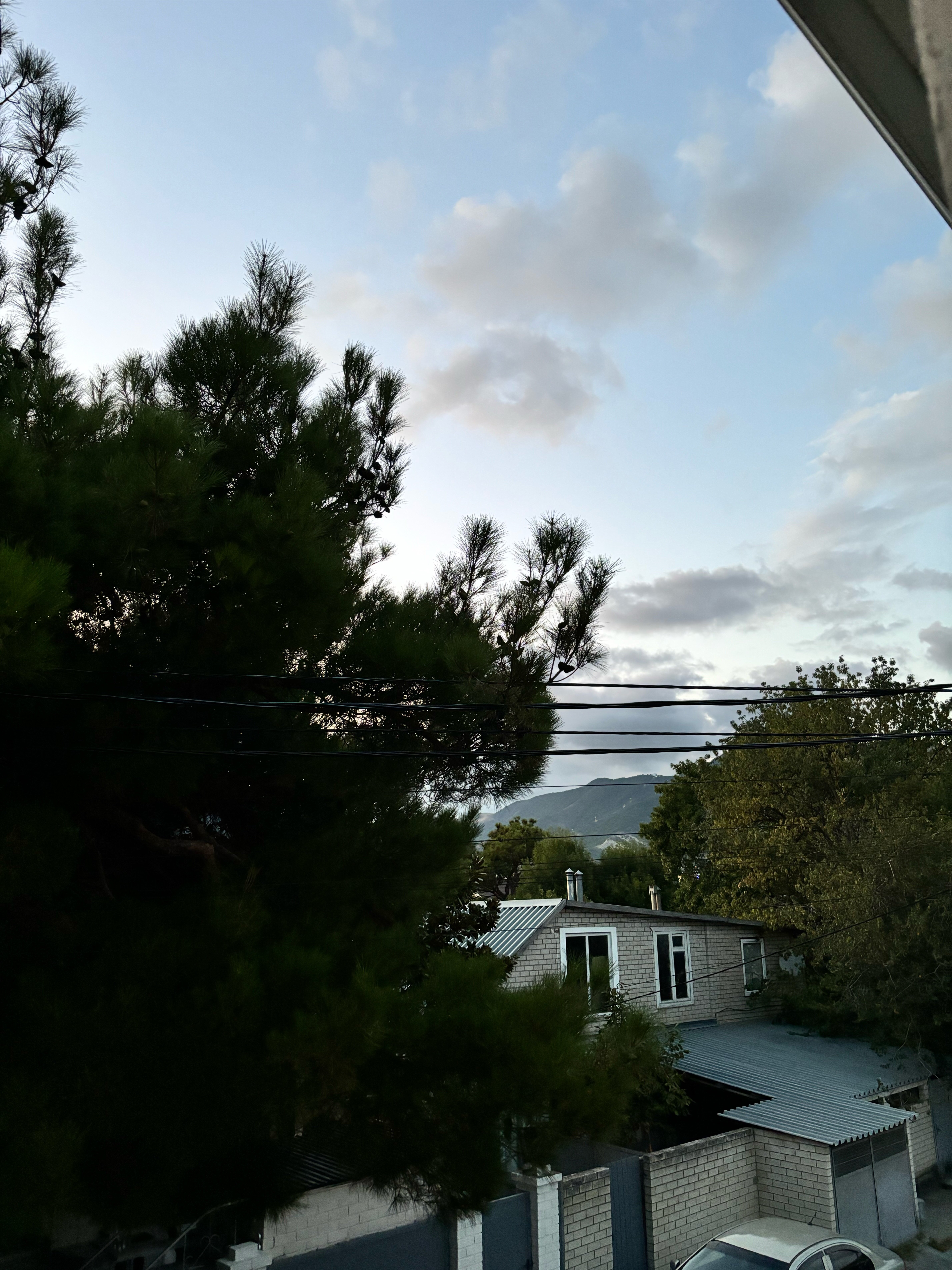 Фото Тристар