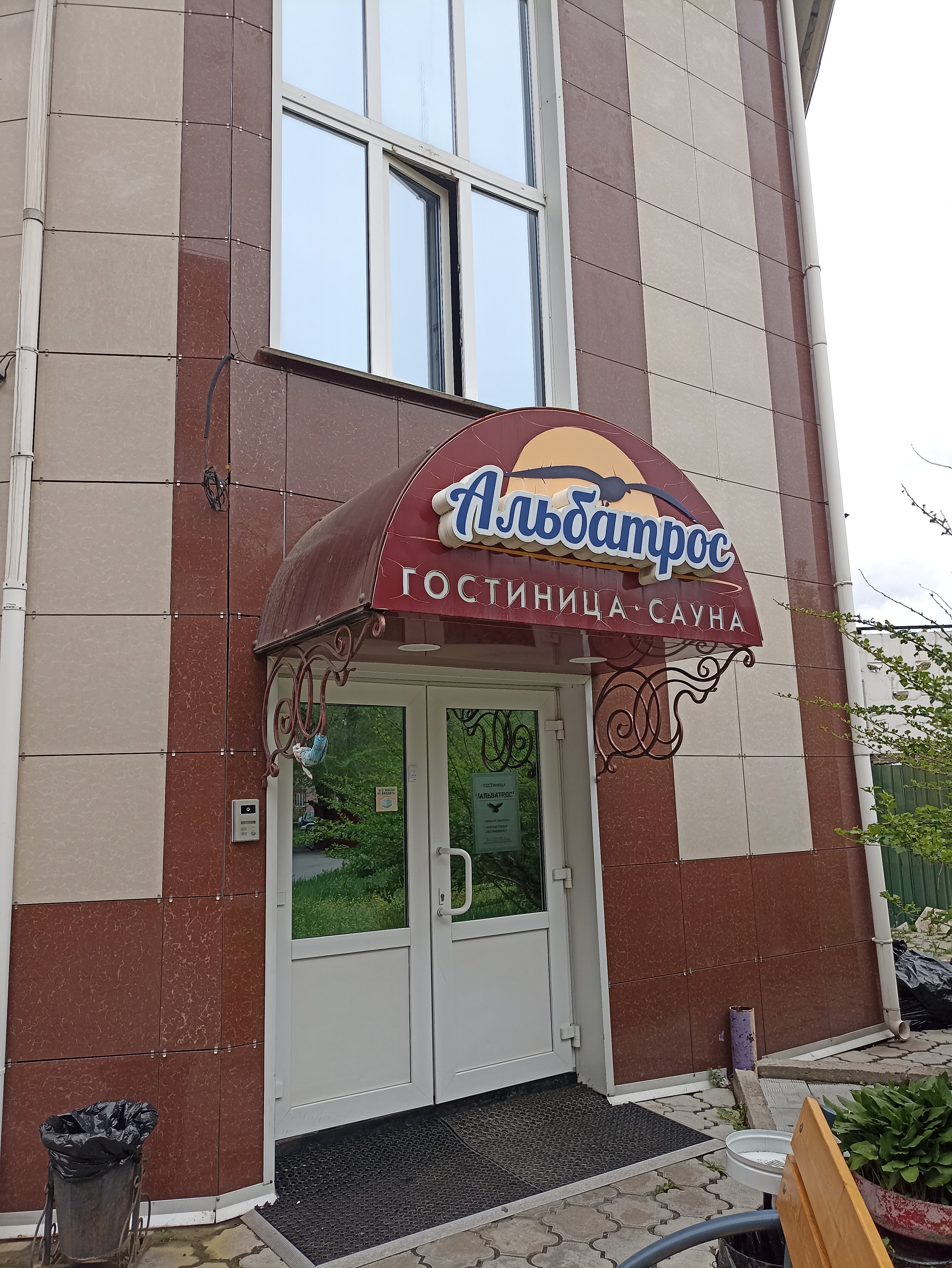 Фото Альбатрос