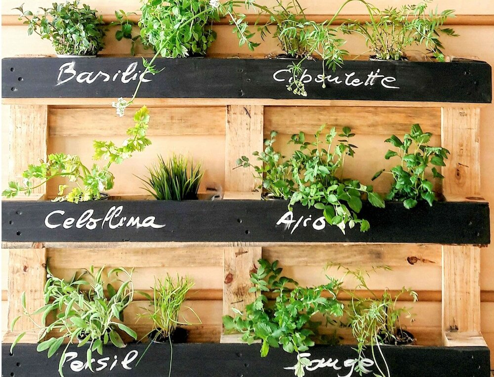 Фото Hotel ibis Madrid Getafe