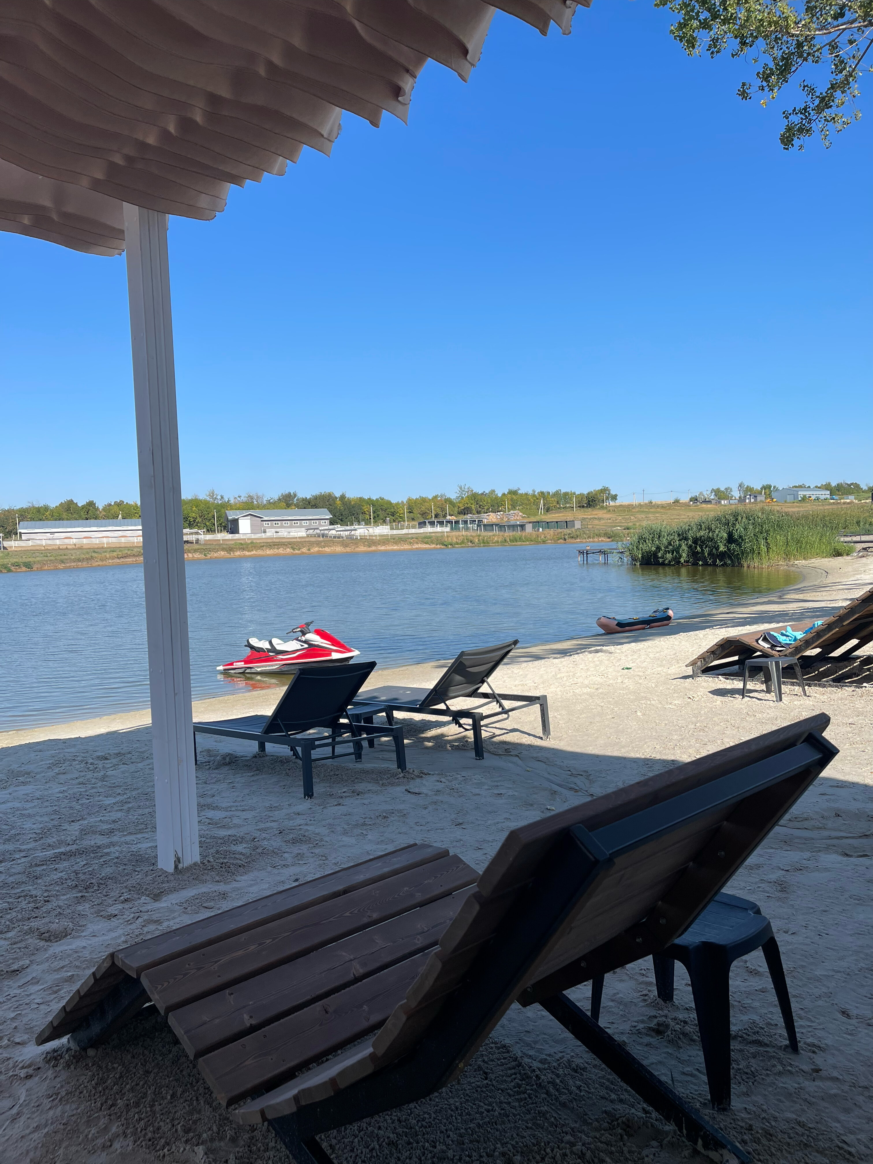 Фото Феникс