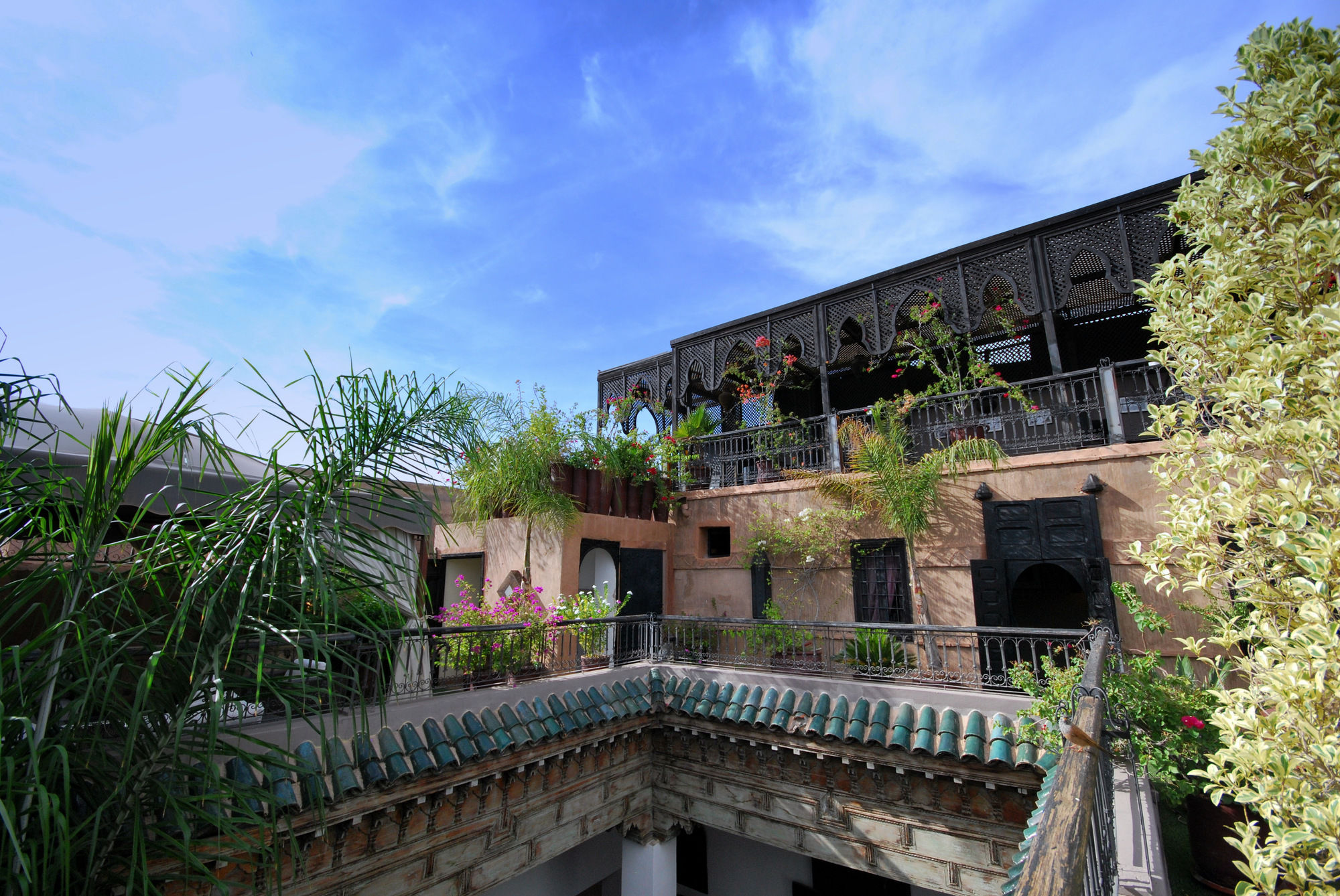 Фото Riad Terra Bahia