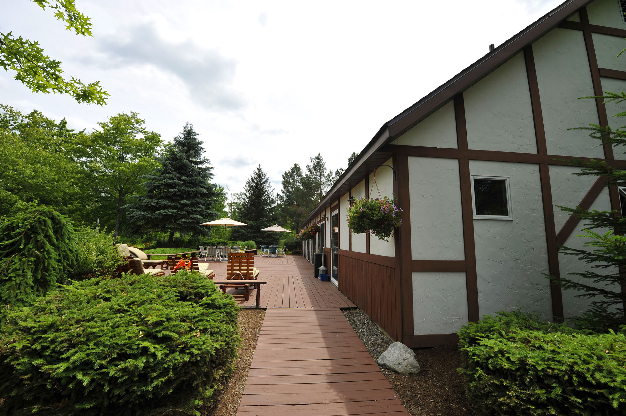 Фото Hotel Vienna