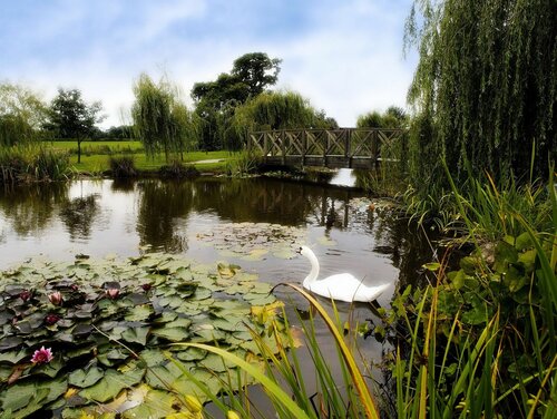 Гостиница Grosvenor Pulford Hotel & SPA в Рексеме