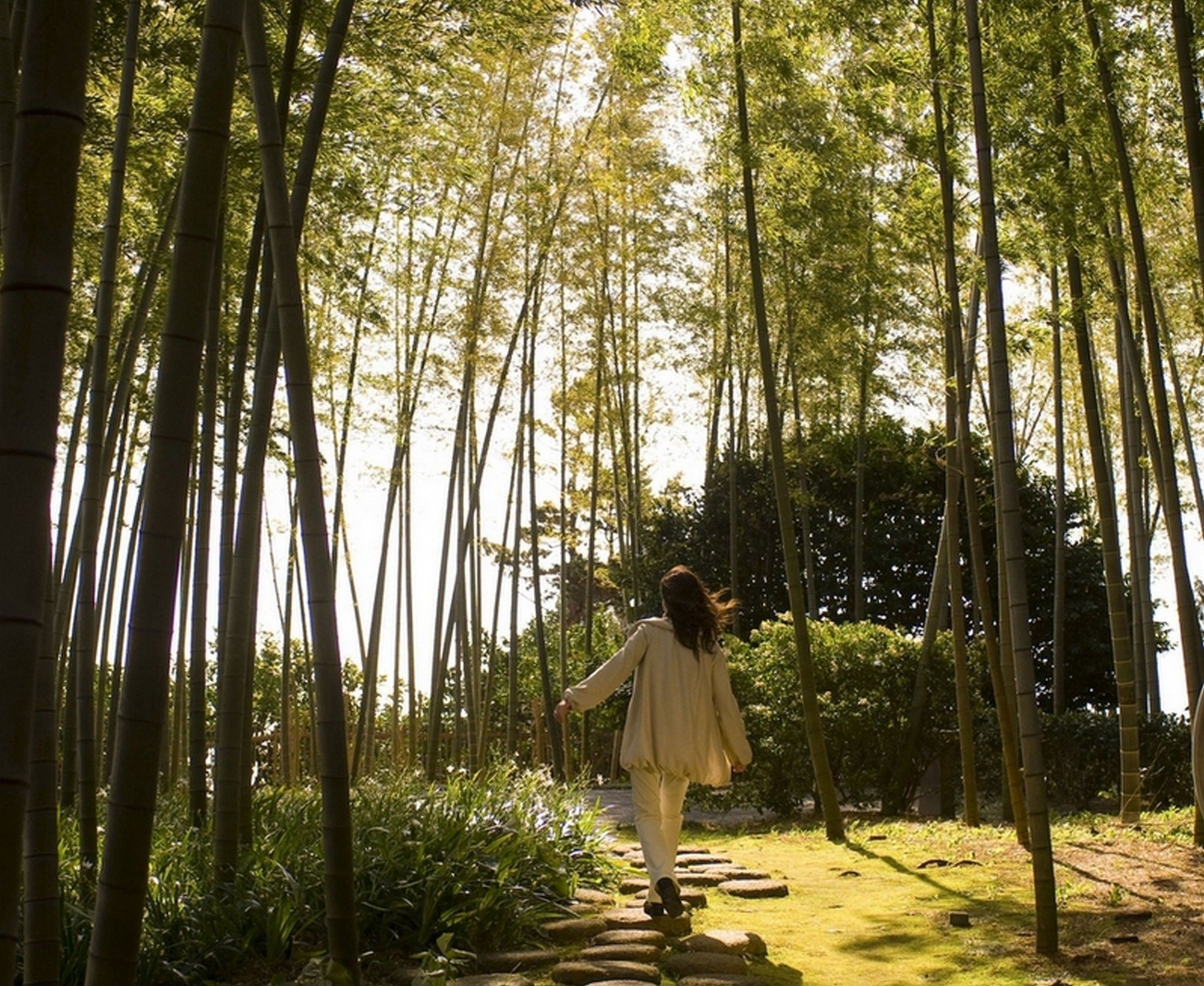 Фото Hilton Odawara Resort & SPA