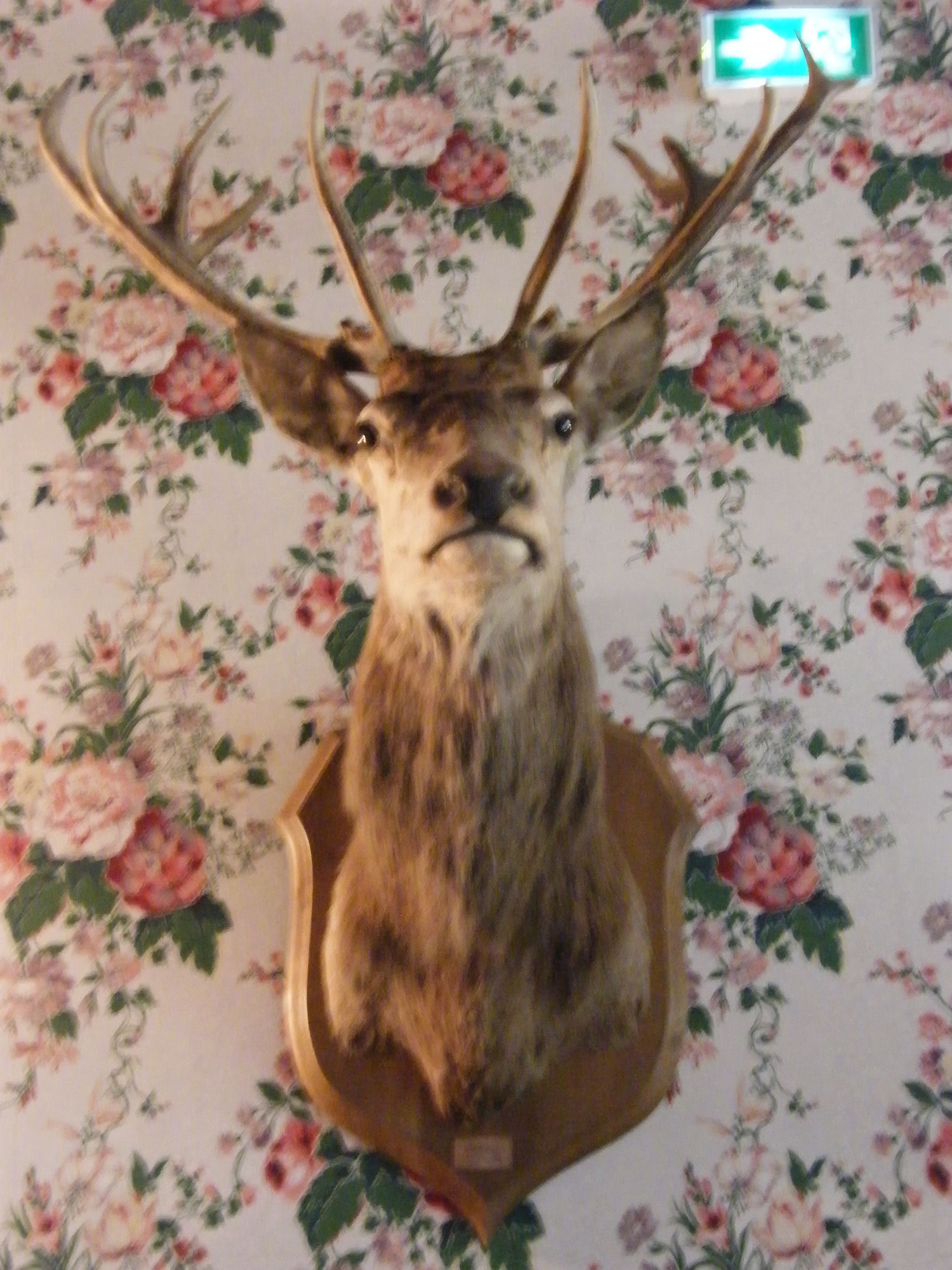 Фото Grand Hotel des Templiers