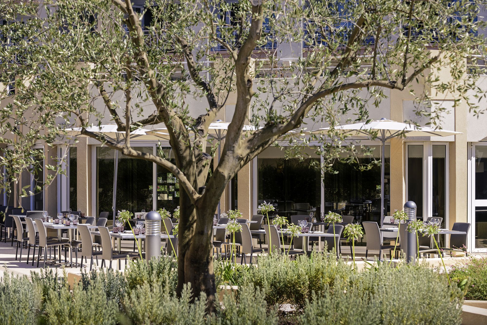 Фото Mercure Thalasso & Spa Port Frejus