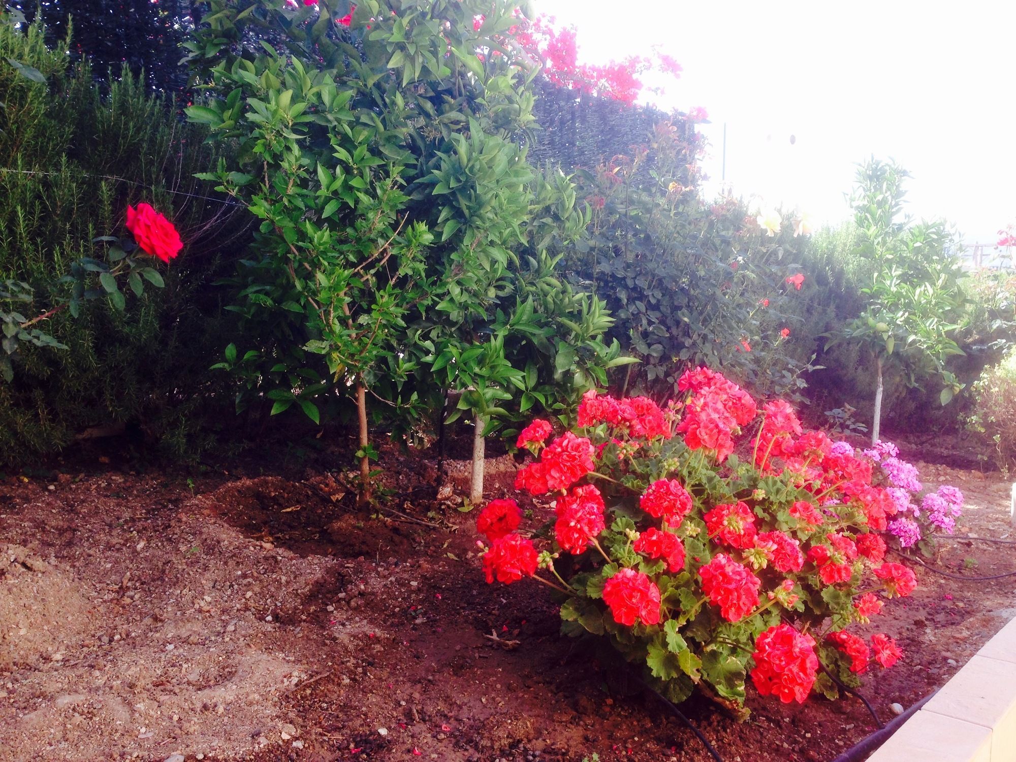 Фото Kostis Villas