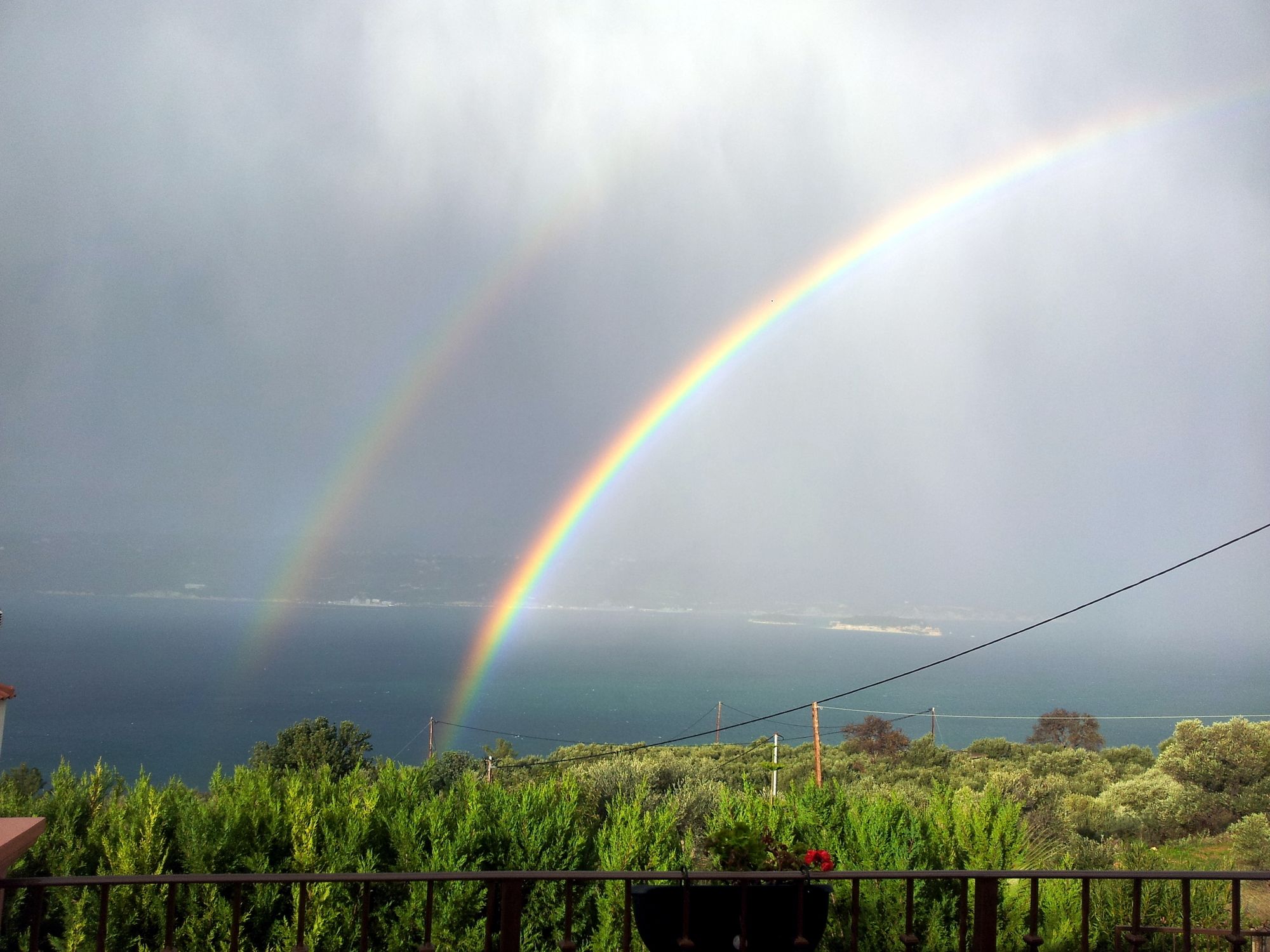 Фото Villa Amalia