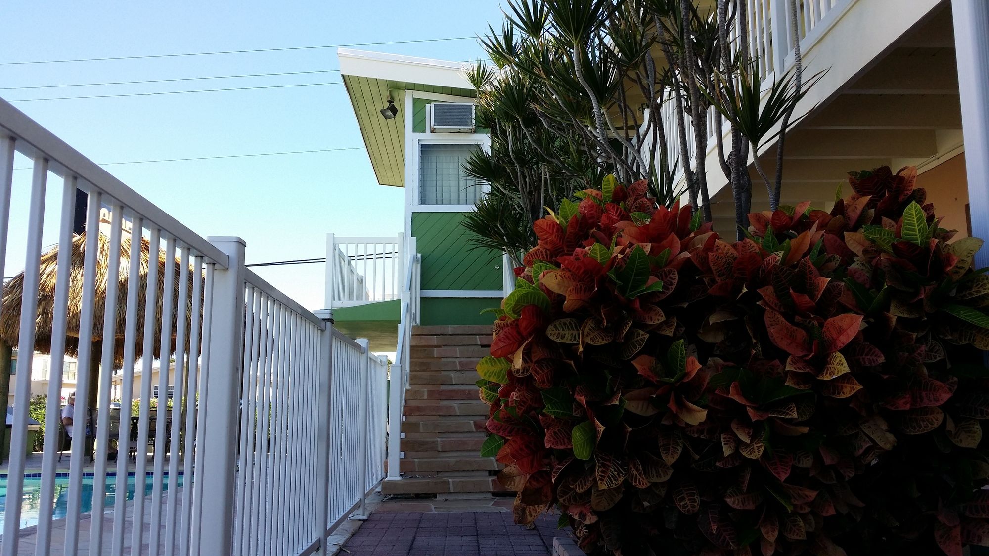 Фото The Palms On Ocean