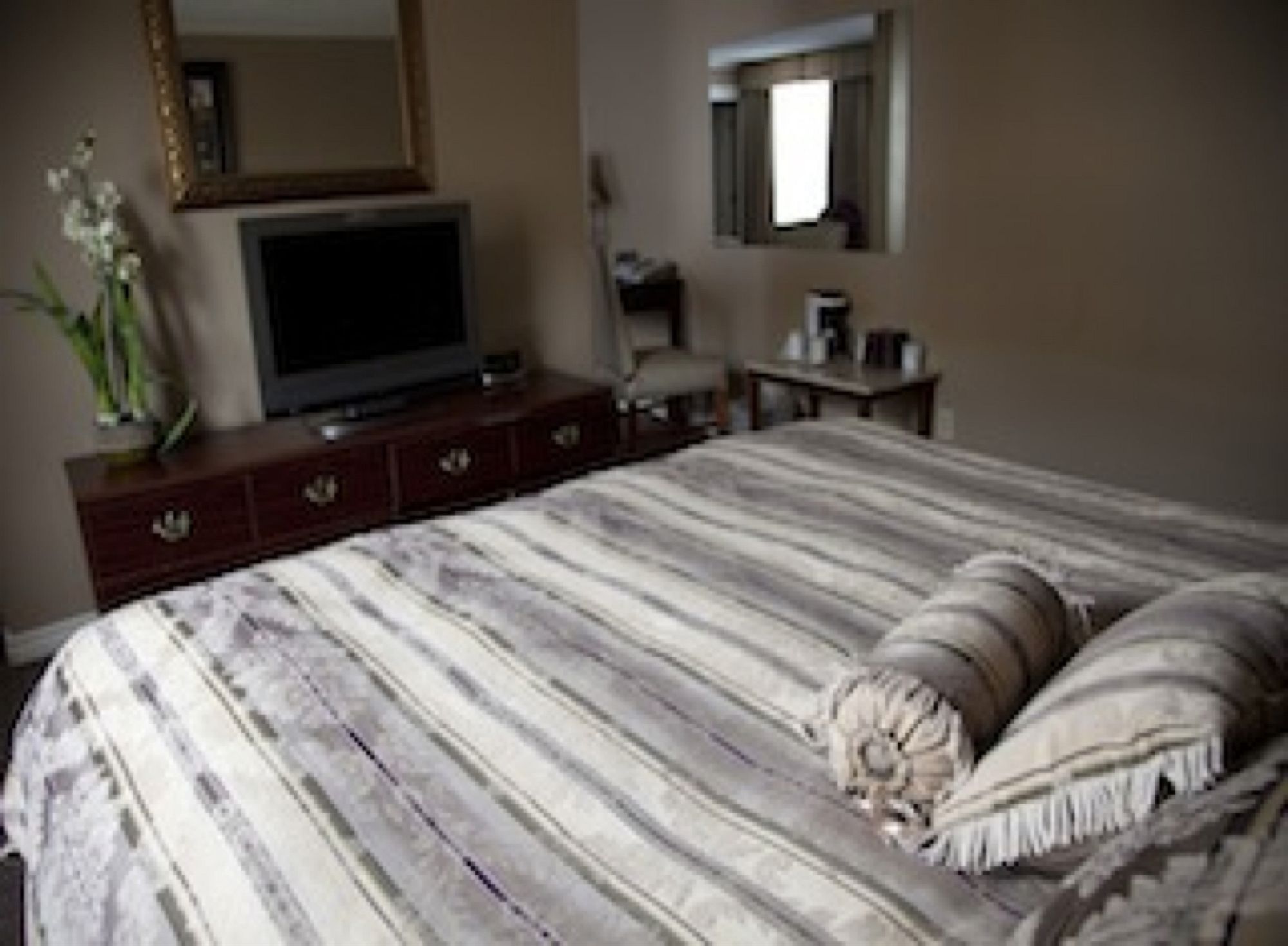 Фото Hotel Senator