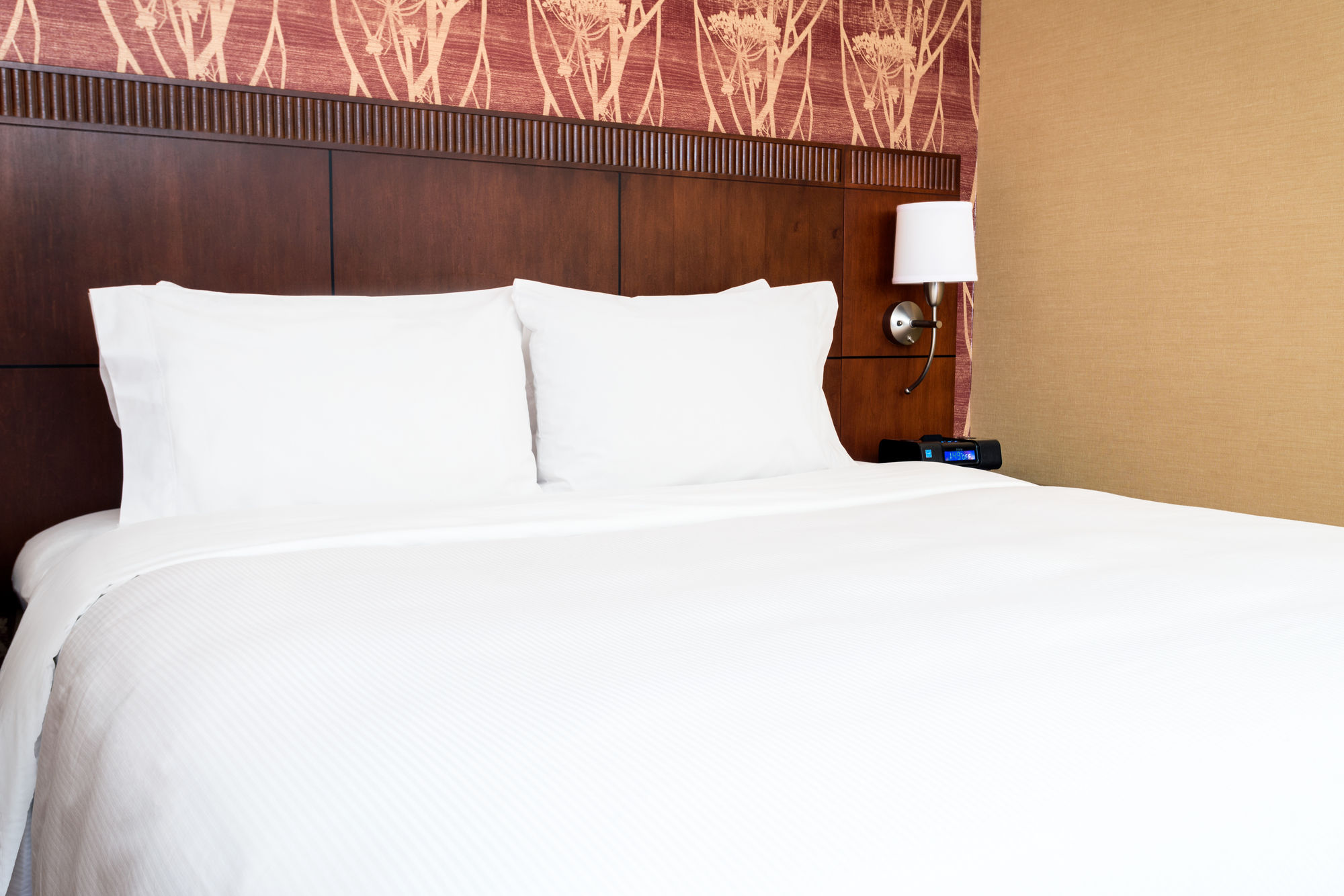 Фото Sonesta Select Seattle Bellevue Redmond