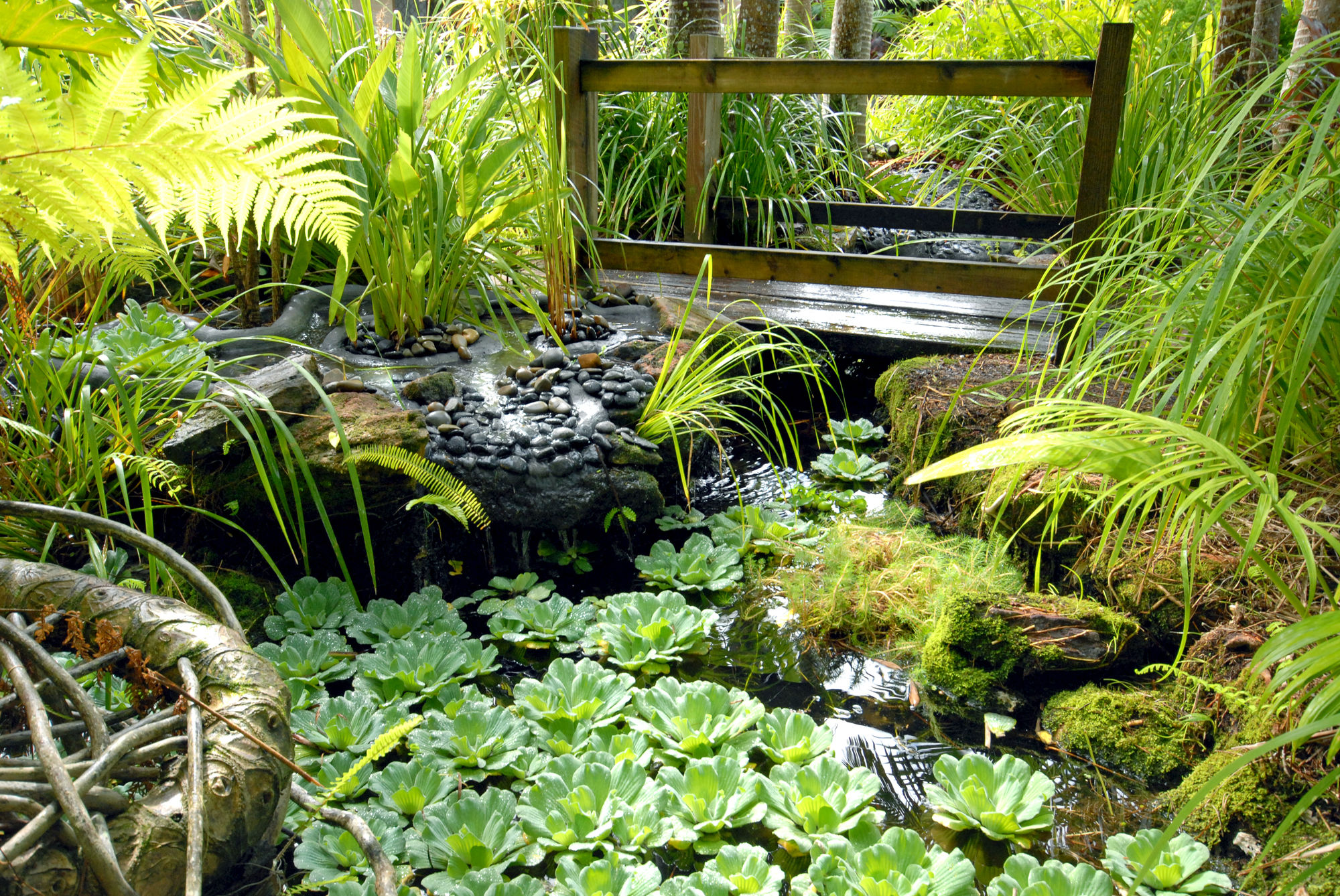 Фото Noosa Village River Resort