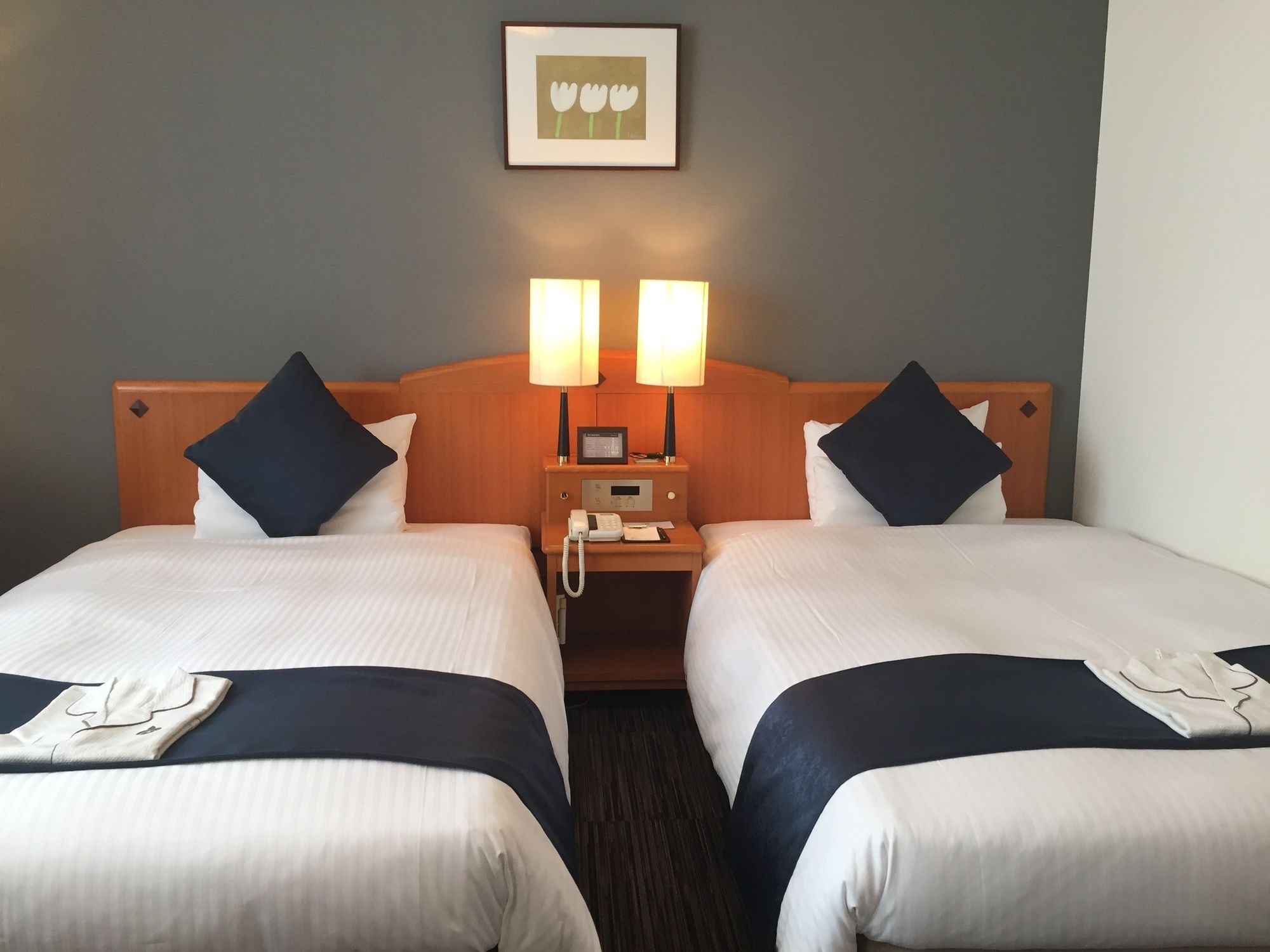 Фото Okayama Koraku Hotel