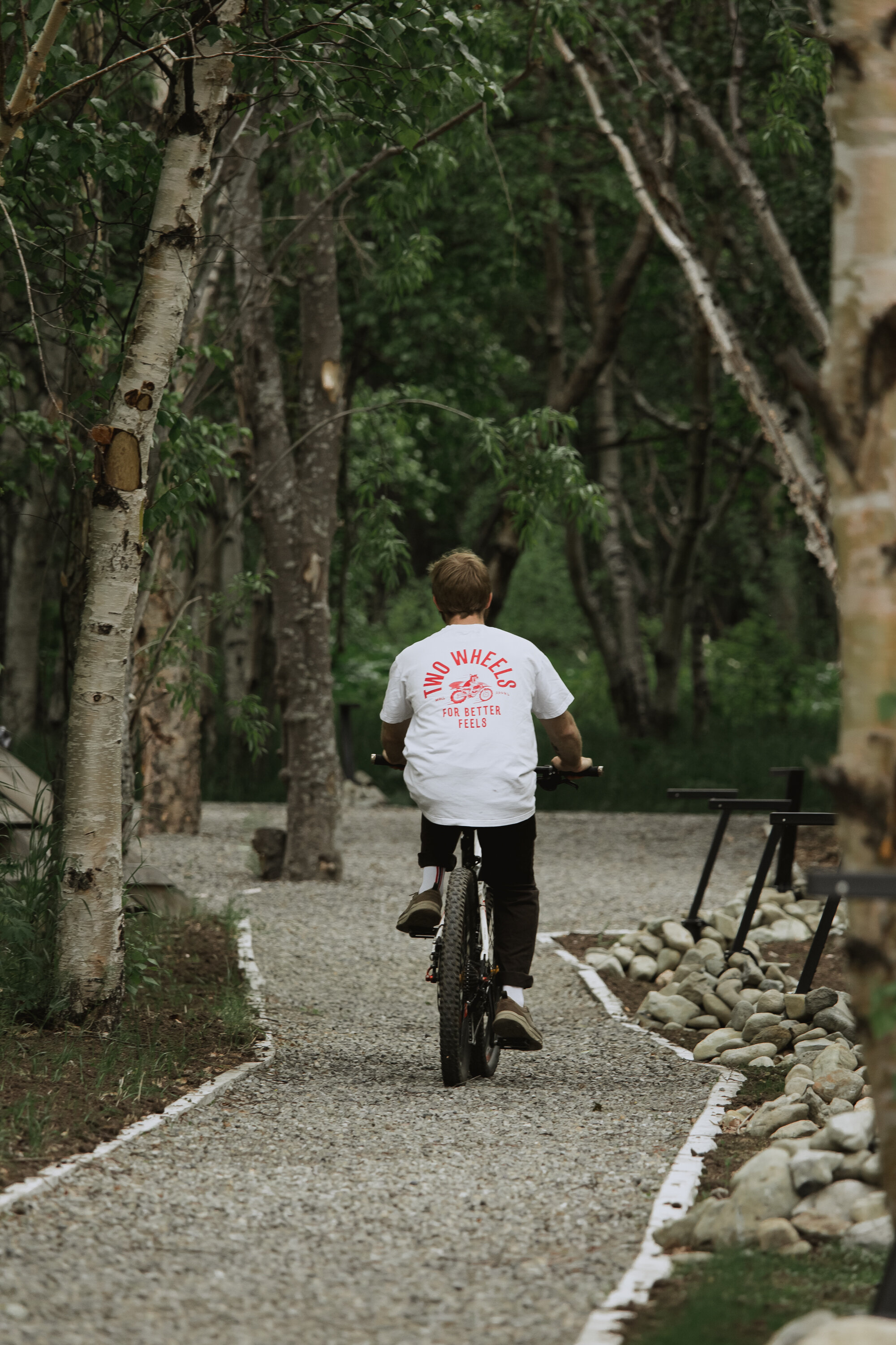 Фото Шале Дача