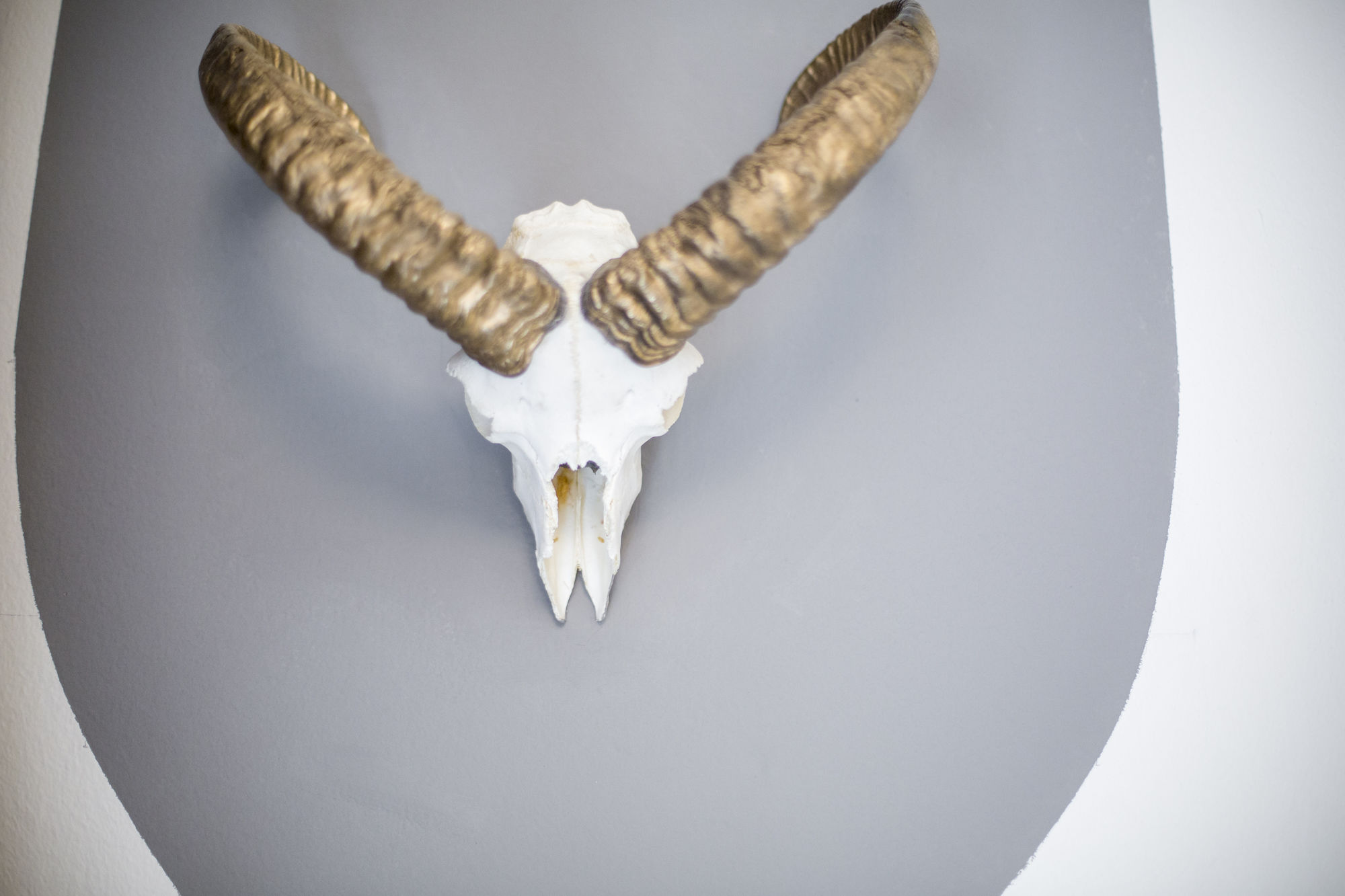 Фото Miss Sophie's New Town