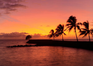 Гостиница Amoa Resort Savaii