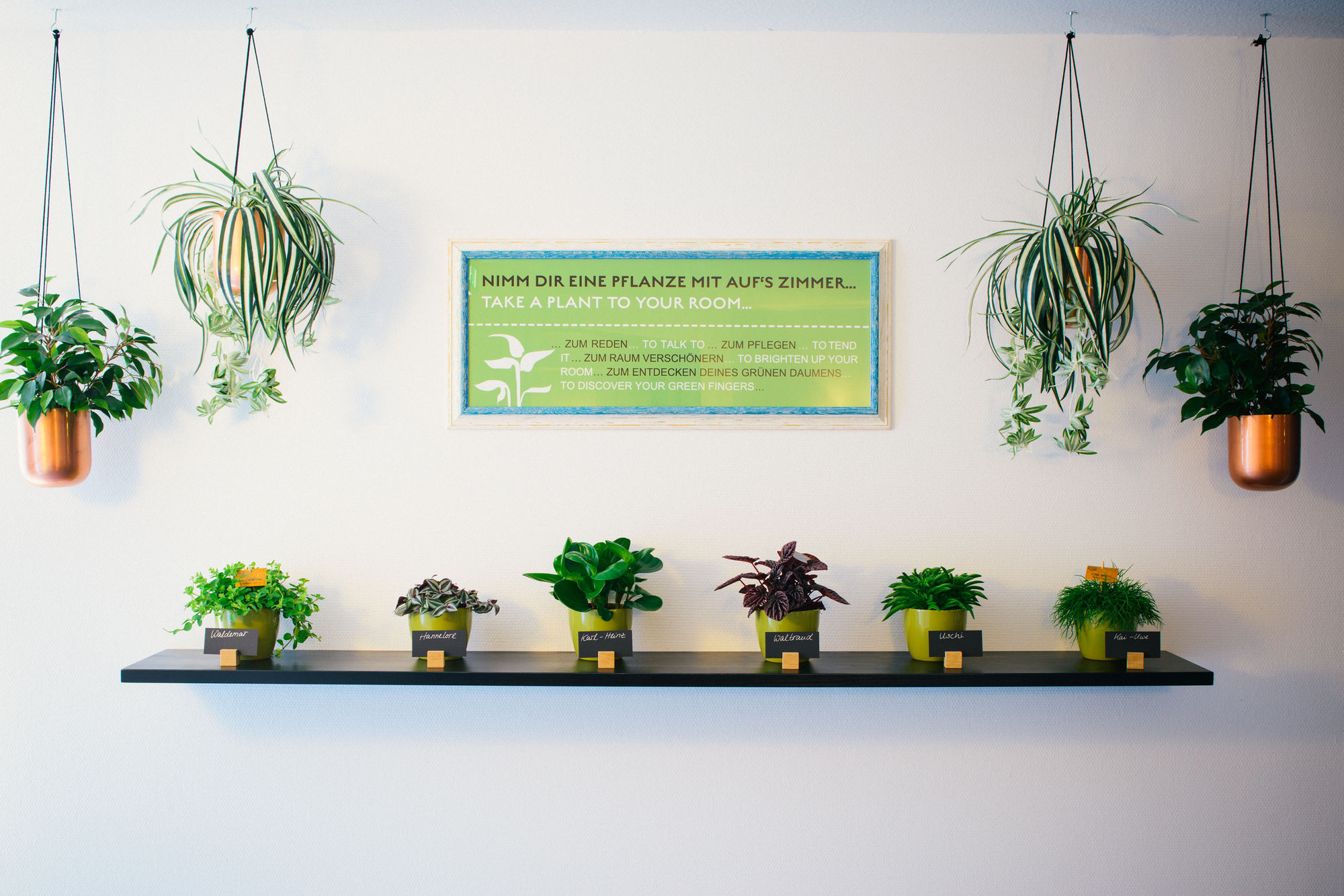 Фото Vienna House Easy Limburg