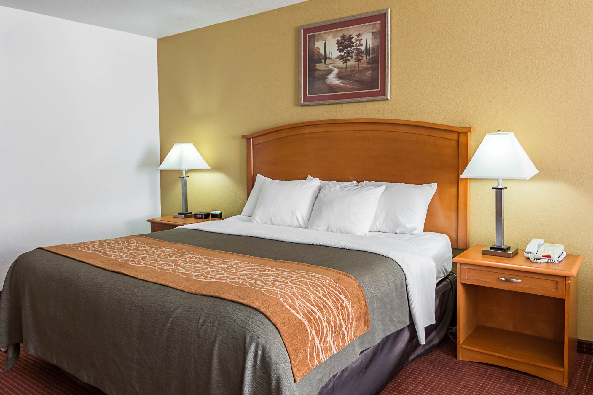 Фото Comfort Inn & Suites Chesapeake - Portsmouth