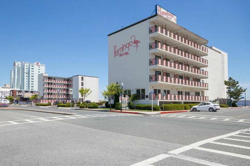 Гостиница Flamingo Motel