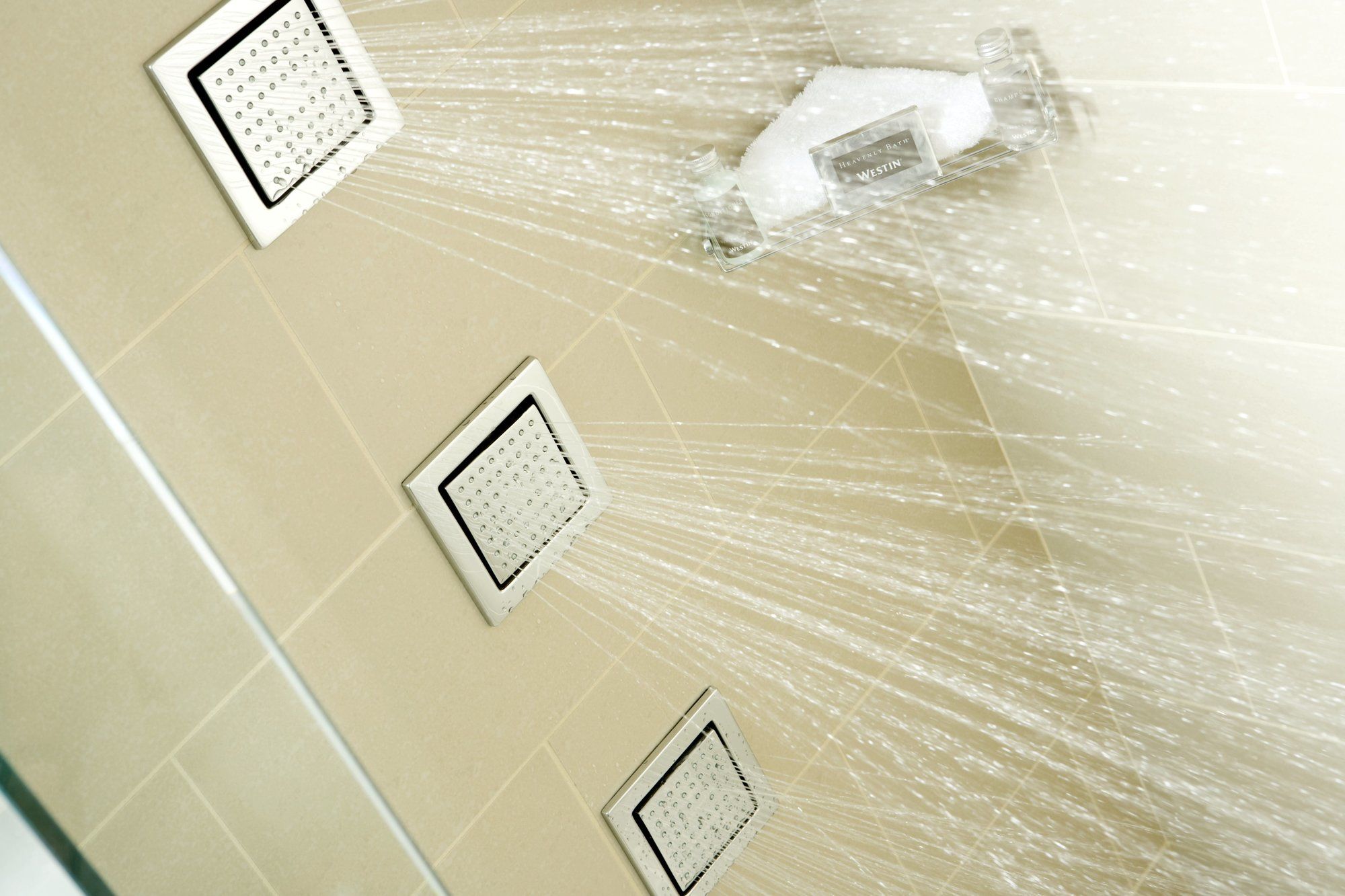 Фото The Westin Minneapolis