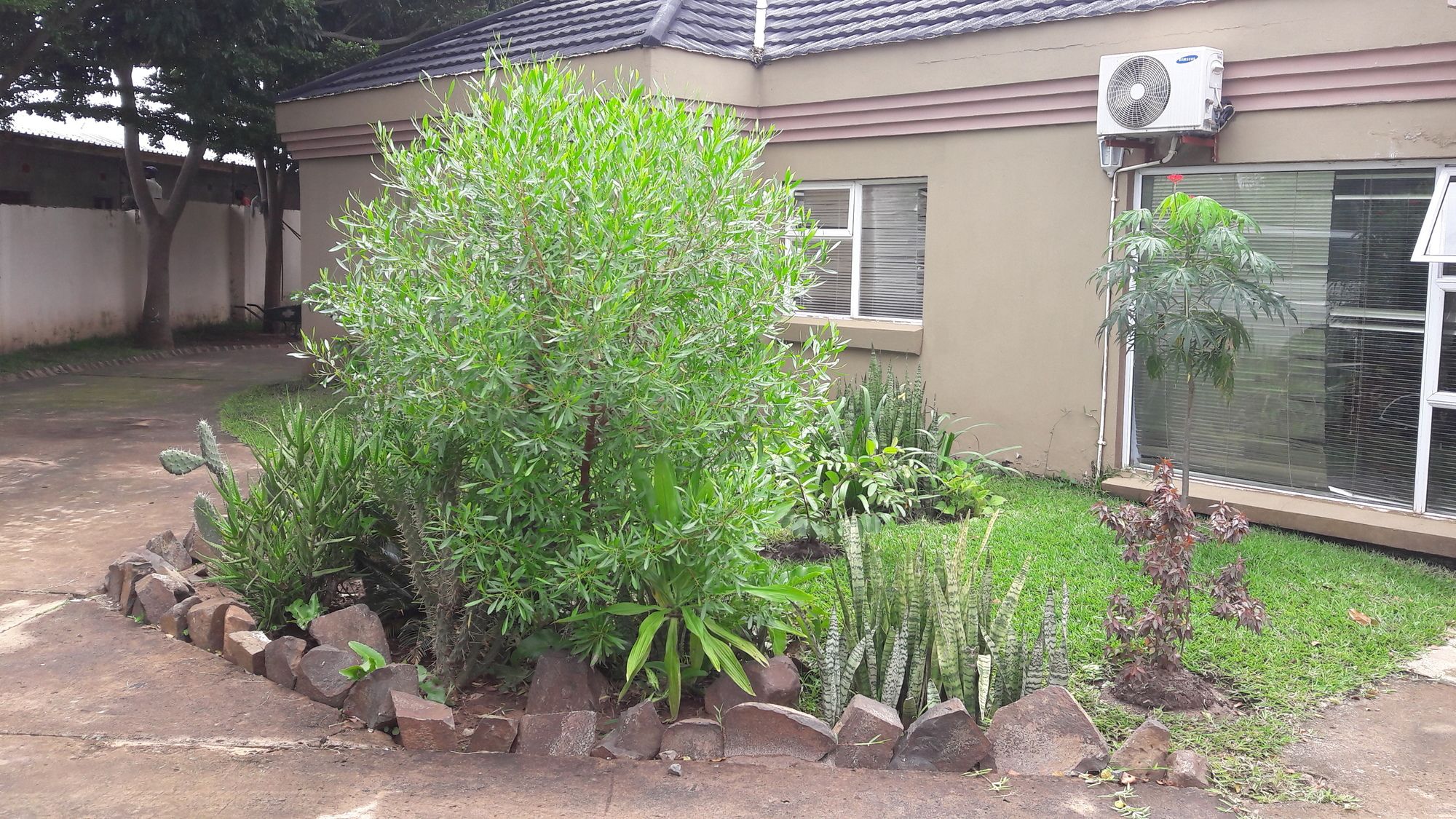 Фото Tasha Lodge