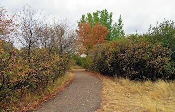 Фото Home Inn Express Medicine Hat