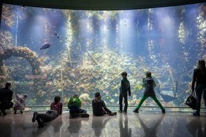 Гостиница Ibis budget Antwerpen Centraal Station