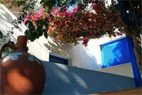 Фото Pelagos Studios