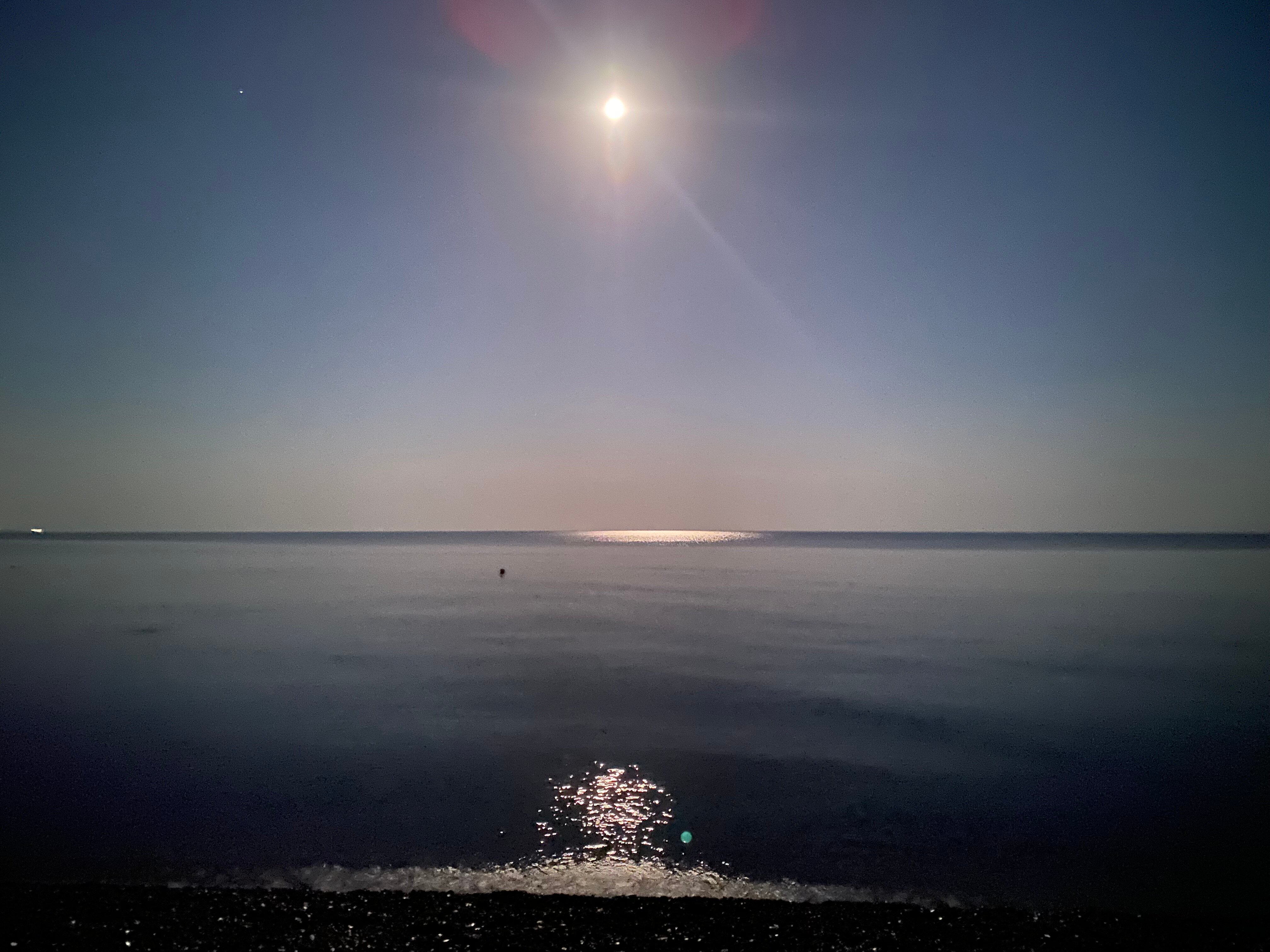 Фото Mandarin Hotel