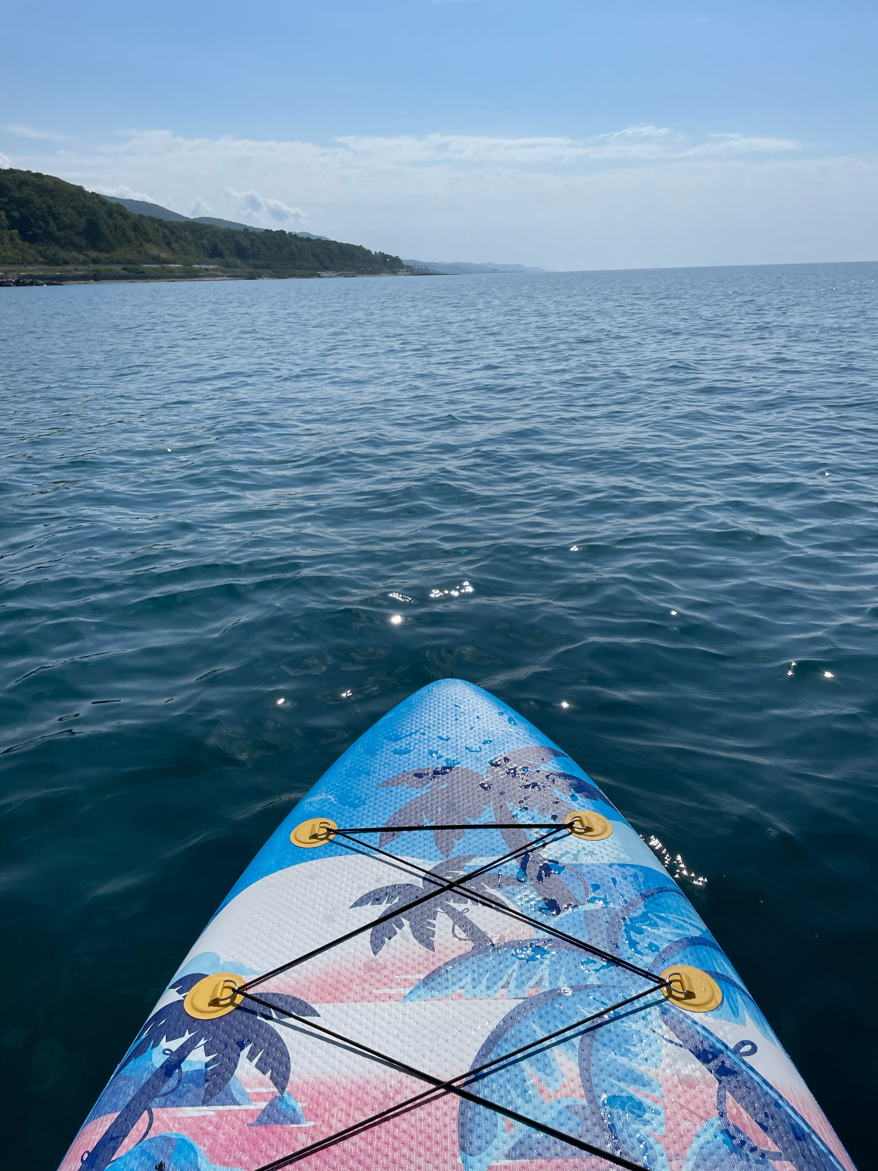 Фото Ланселот