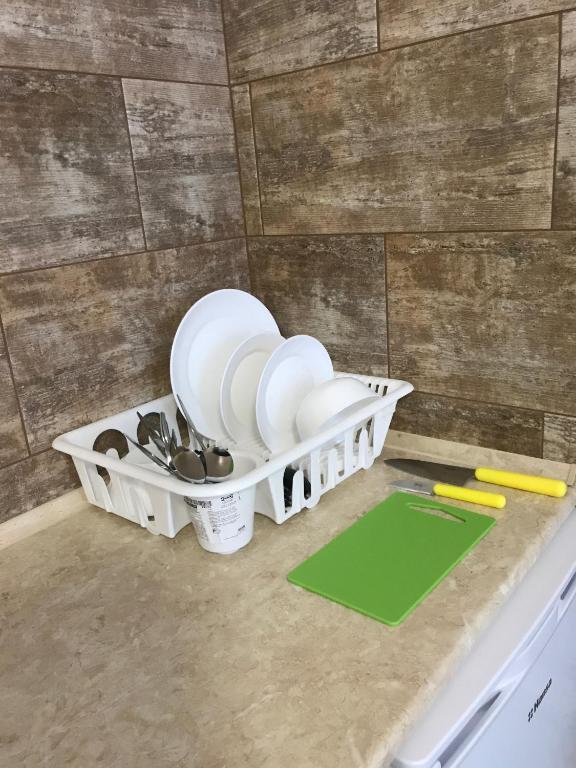 Фото Пальма